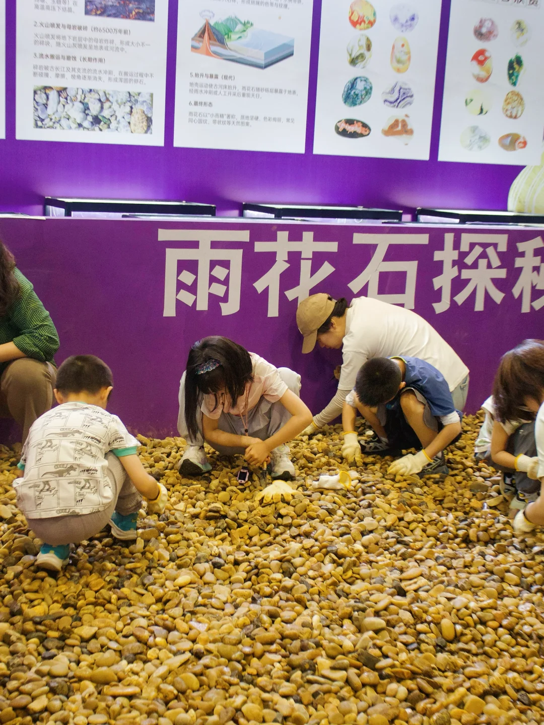 南京遛娃｜小小地质迷不能错过的免费展览