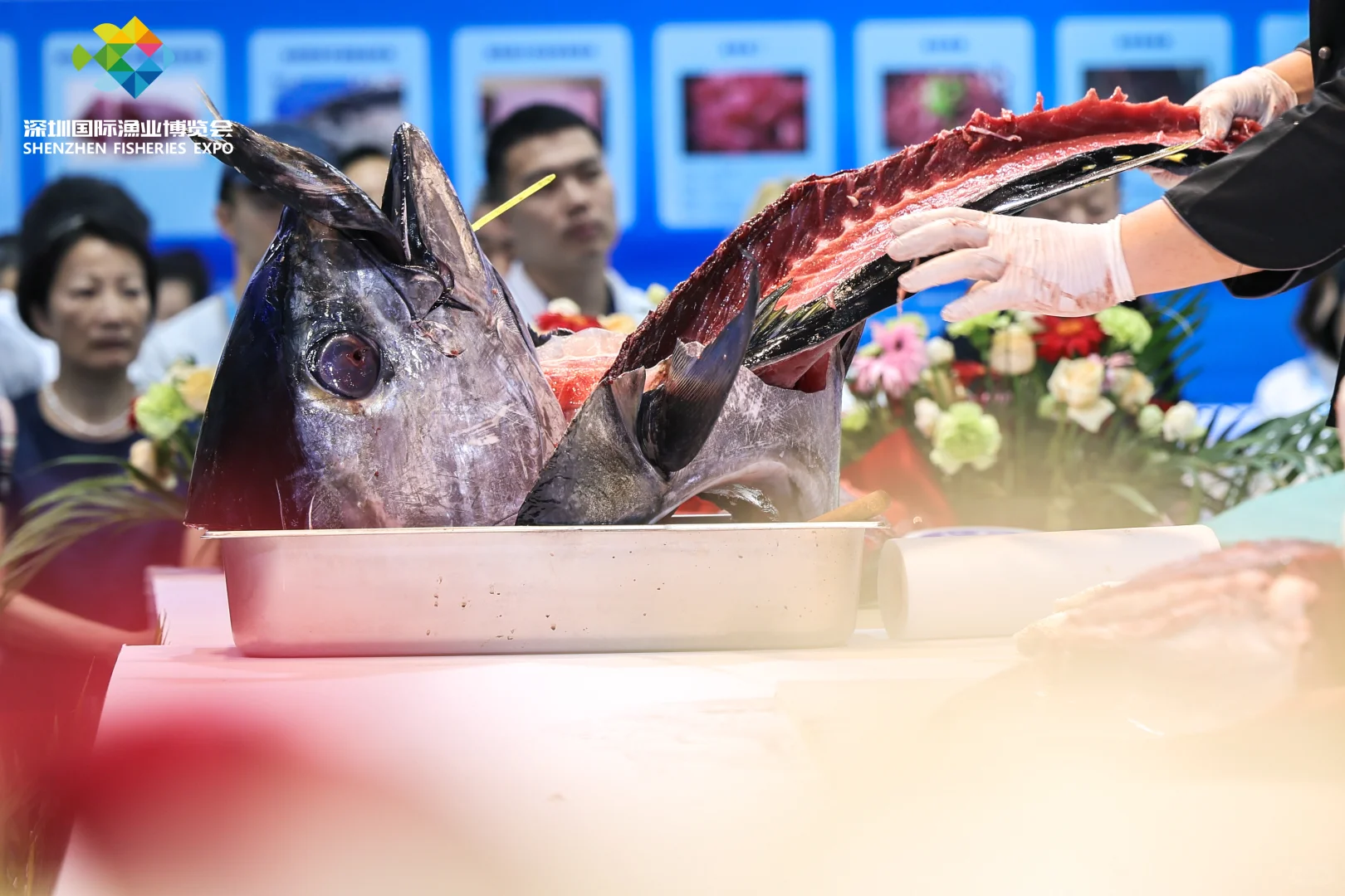 ?深圳展会客户爸爸看过来！3天30人影像组！