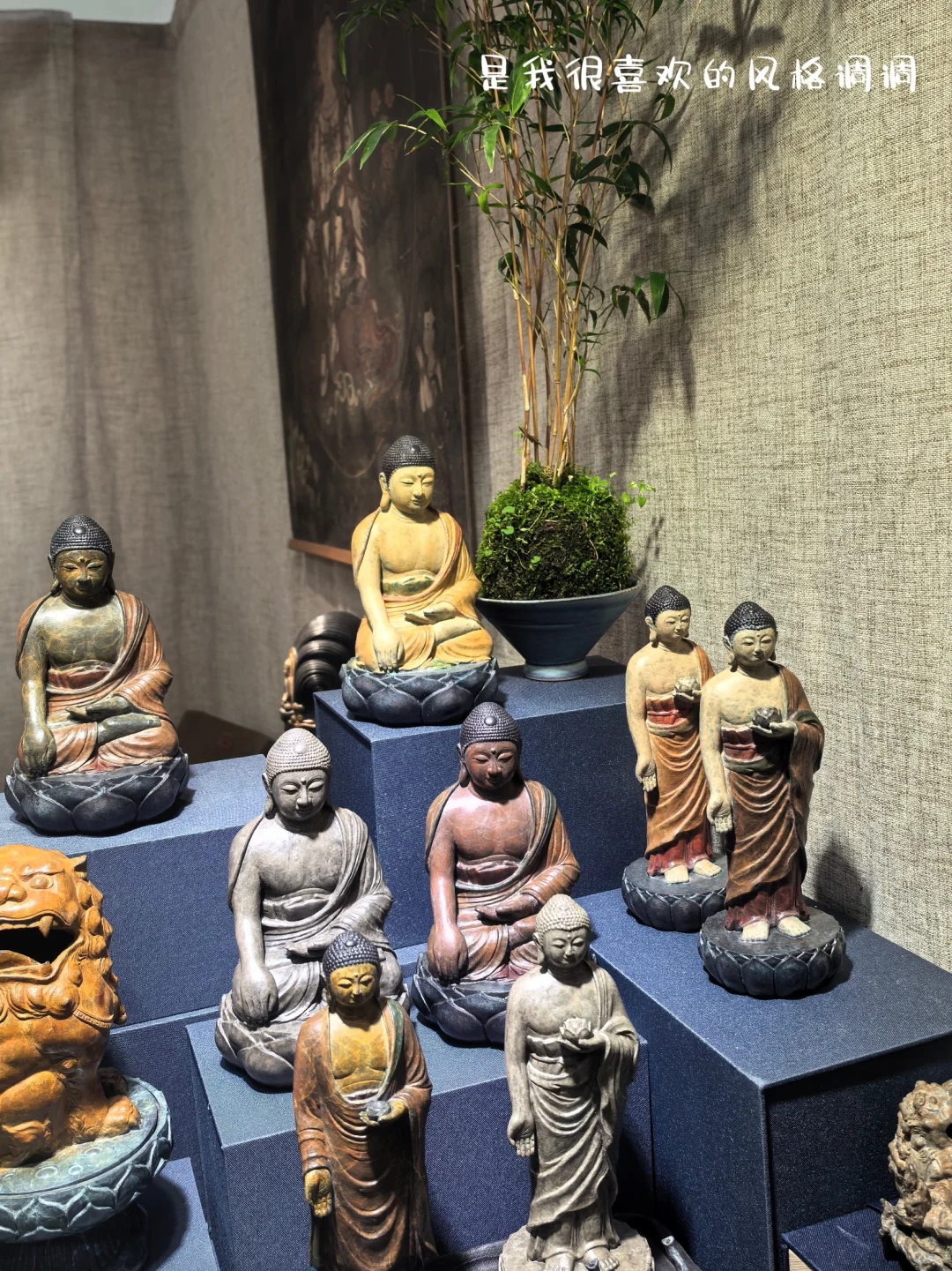 哇撒！大周末姐姐居然带我去…