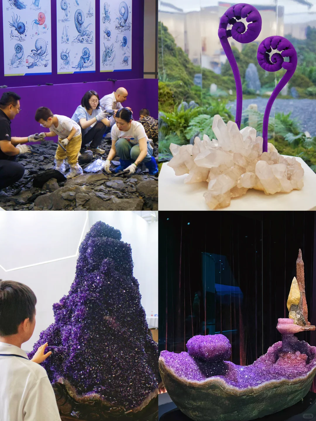 南京遛娃｜小小地质迷不能错过的免费展览