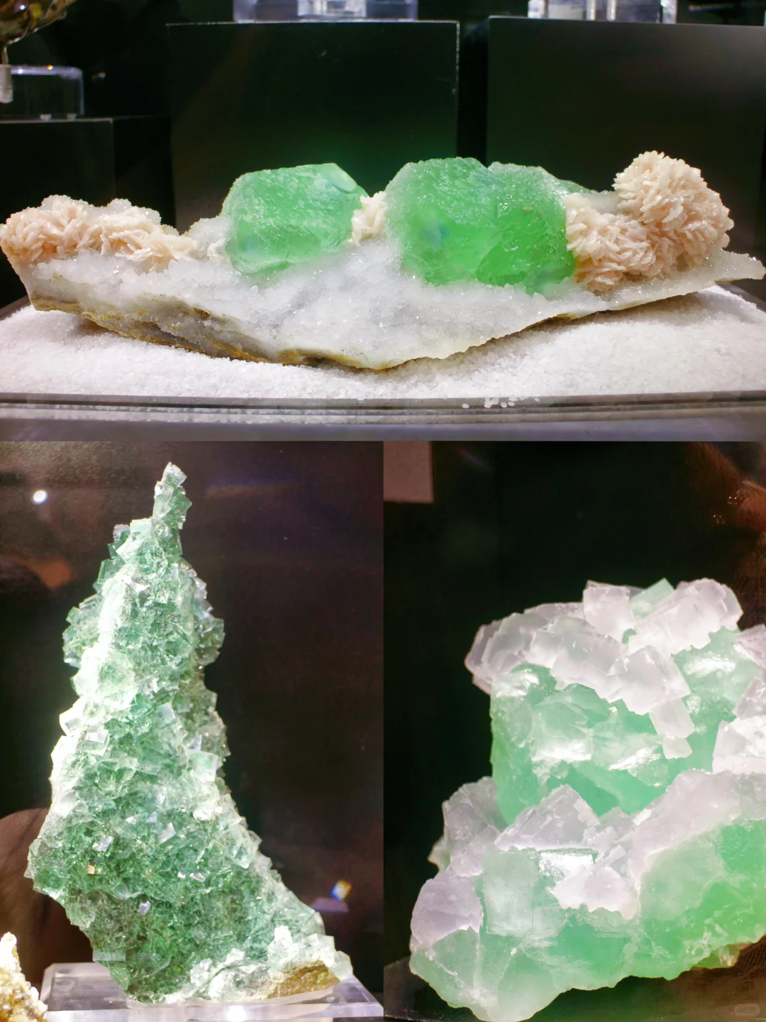 南京遛娃｜小小地质迷不能错过的免费展览