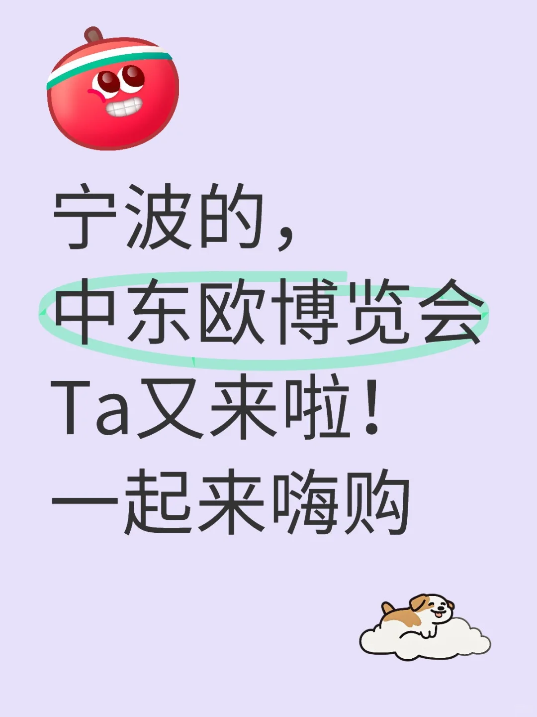 宁波的，中东欧博览会Ta又来啦！