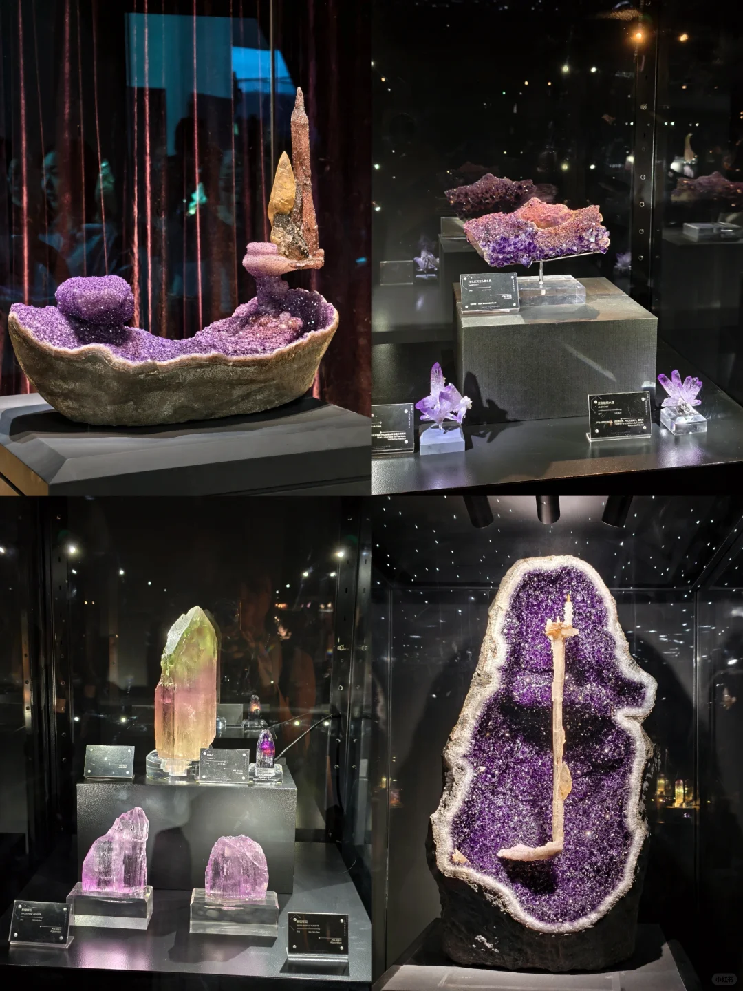 南京5️⃣?️新展！错过等一年！！！