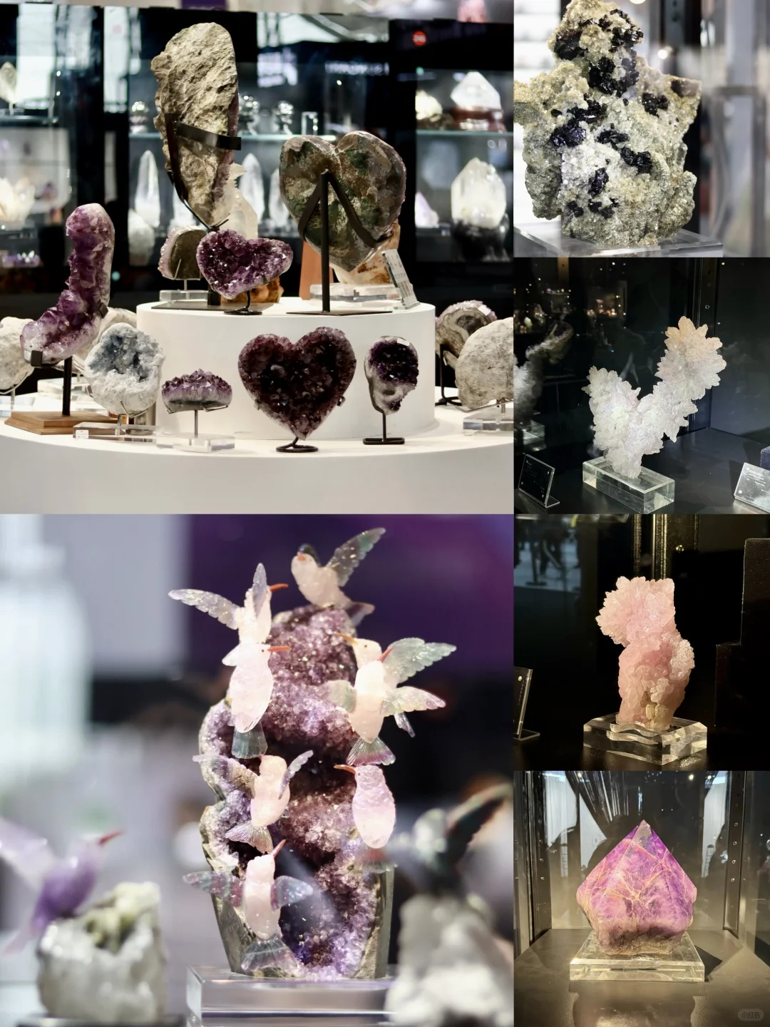 ?紫气东来、听说看完南京矿博会会有好运哦