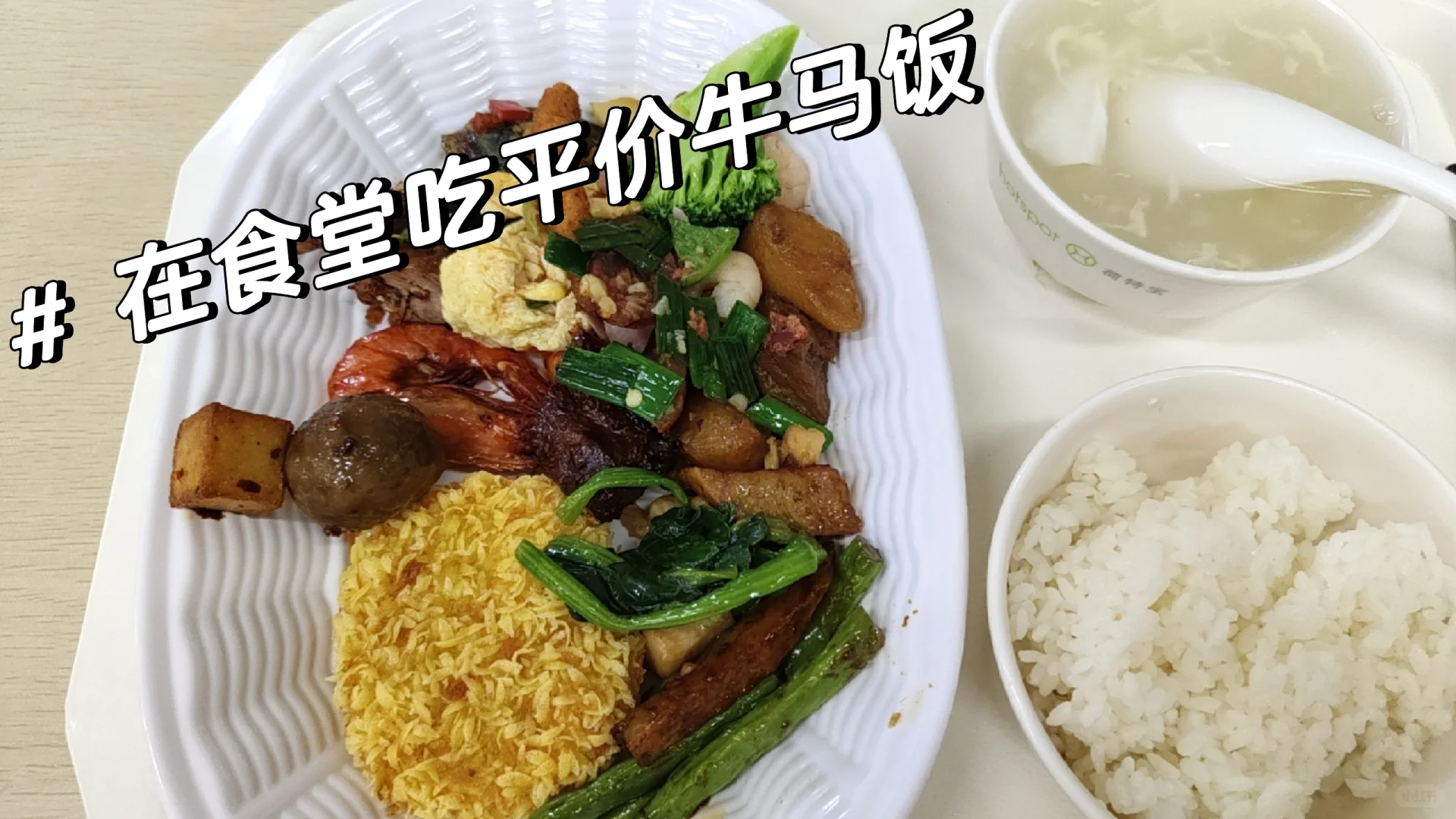 重生之我在会展公司当实习牲??