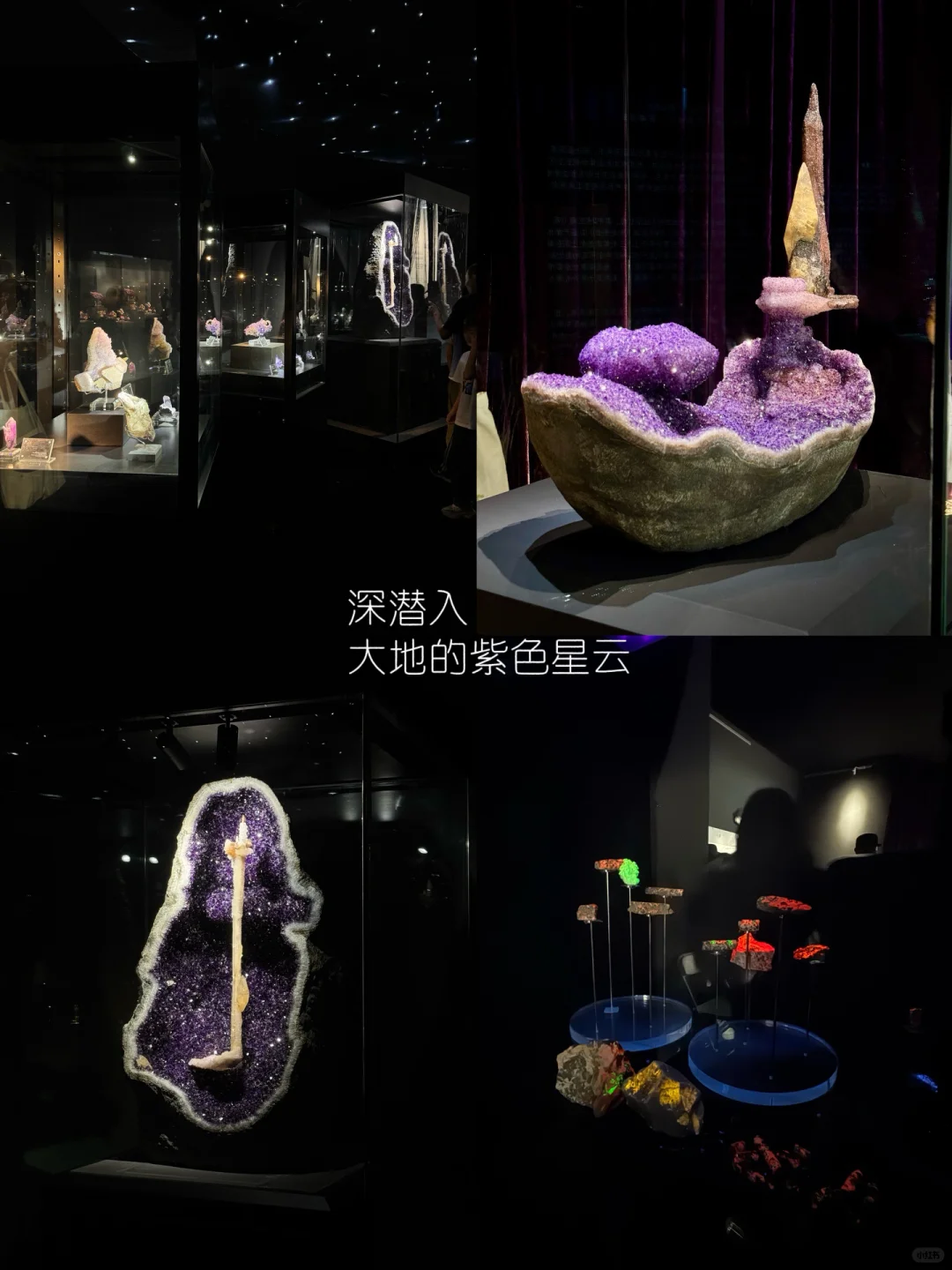 ?紫气东来、听说看完南京矿博会会有好运哦