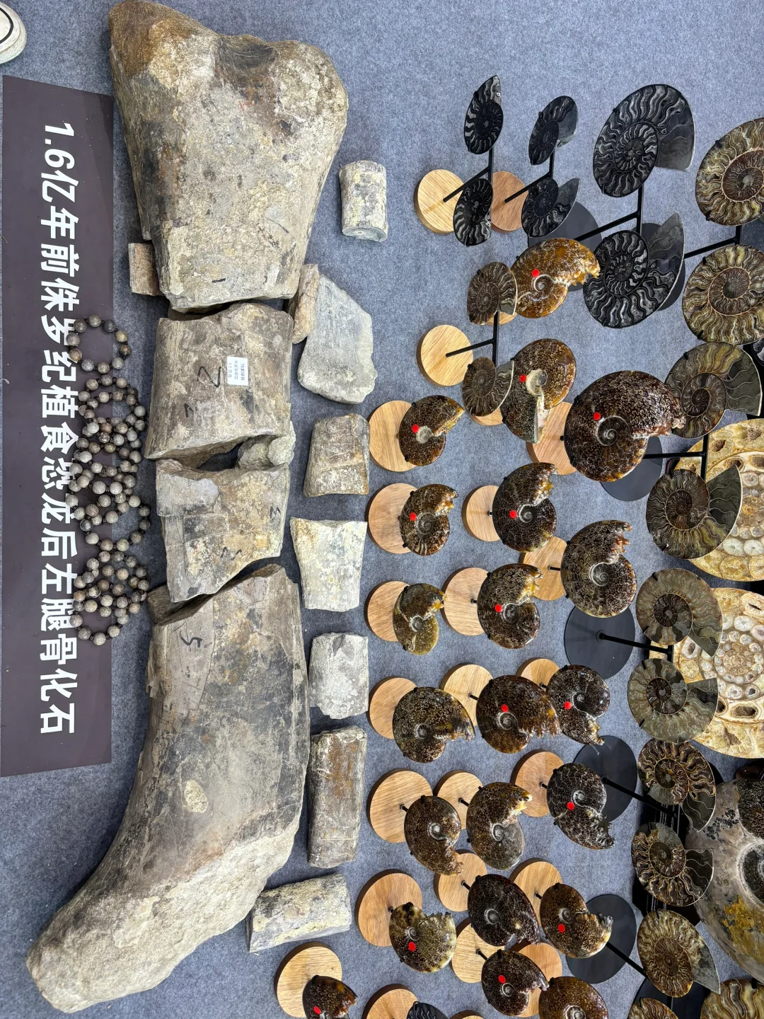 南京矿石博览会～～～