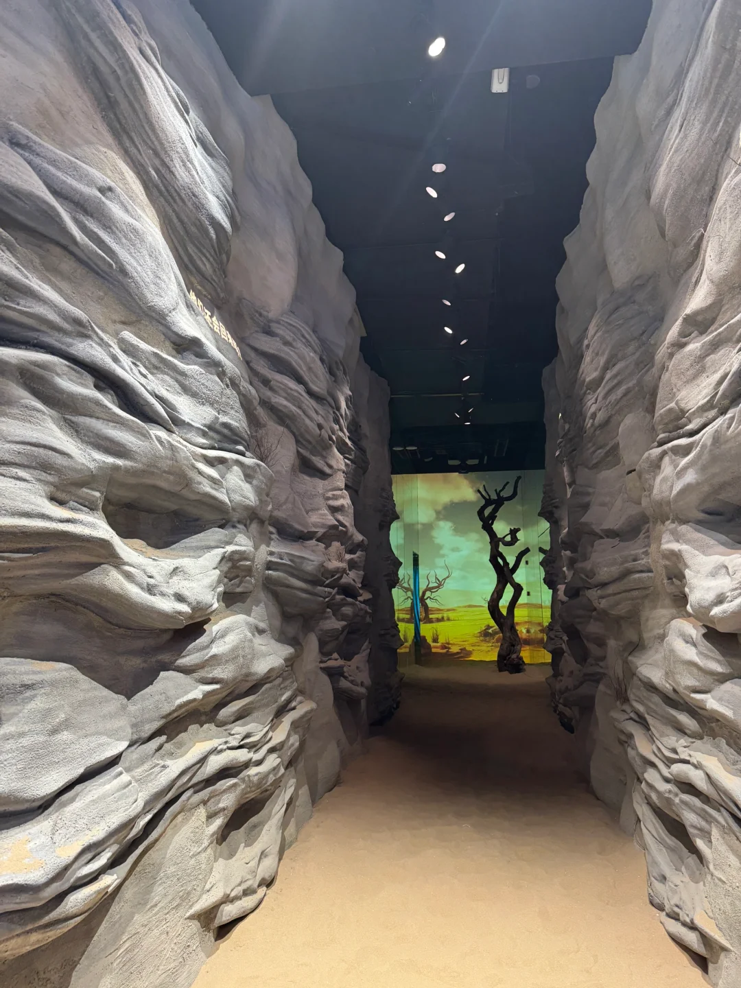 穿越千年的奇幻之旅！精绝七日数字展