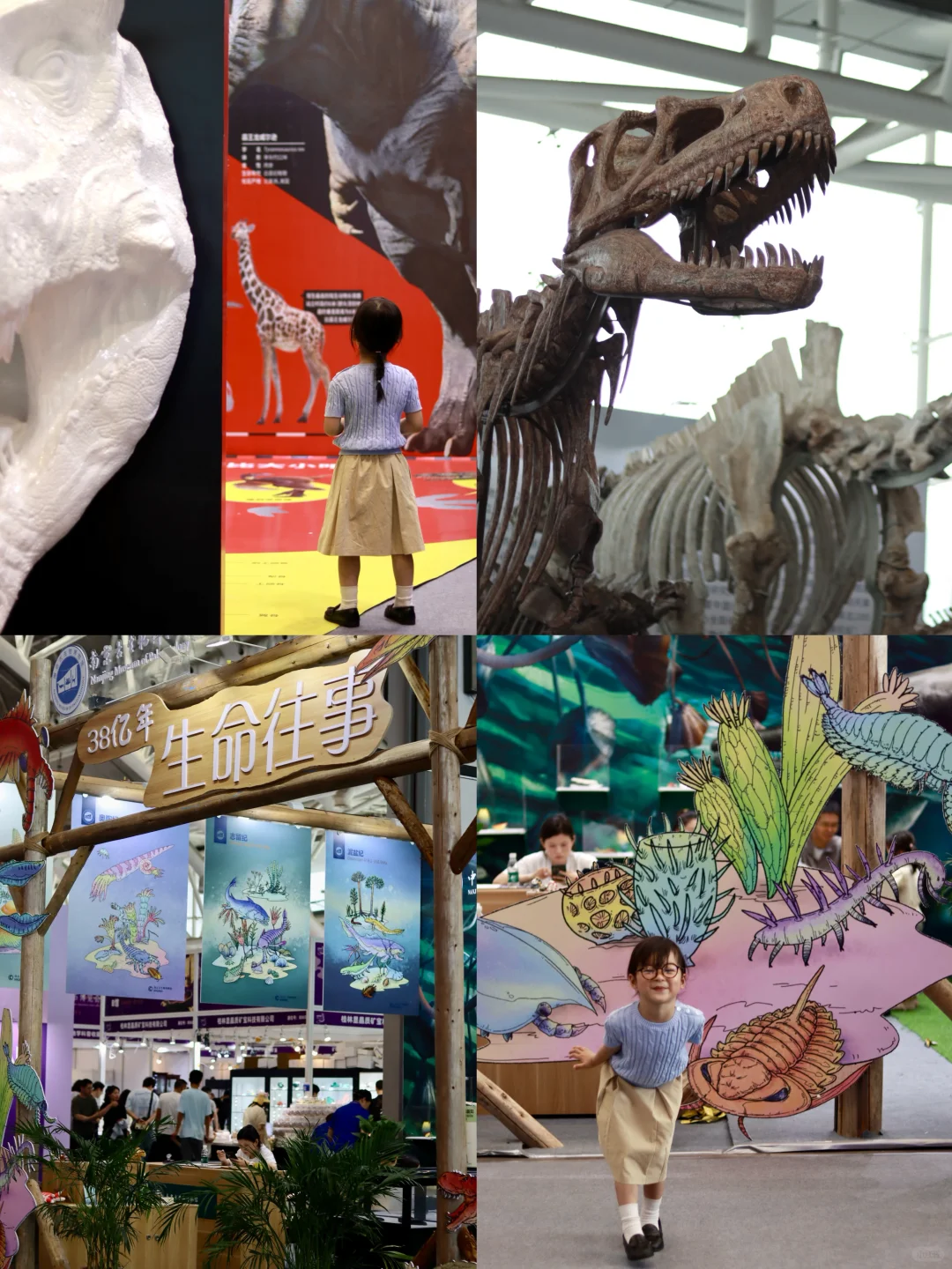 ?紫气东来、听说看完南京矿博会会有好运哦