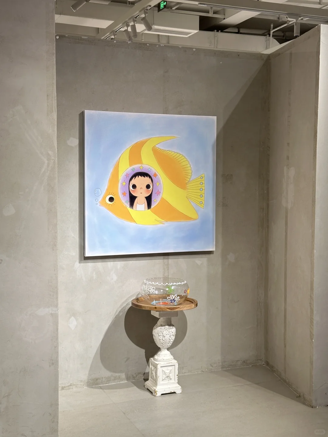 成都新展！拍照真的好可爱！！巨新！！！