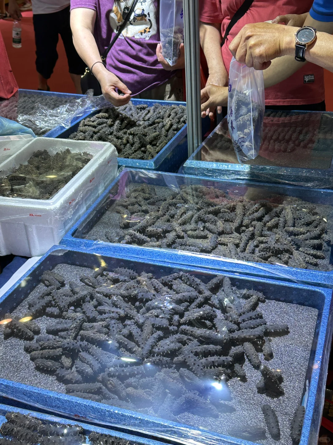 福州人都接到通知了吗?？来逛吃518海交会！