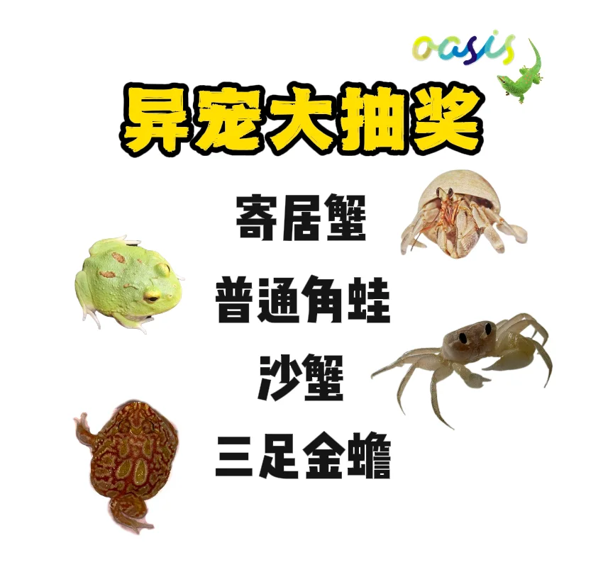 想要异宠的宝子们速来！！！