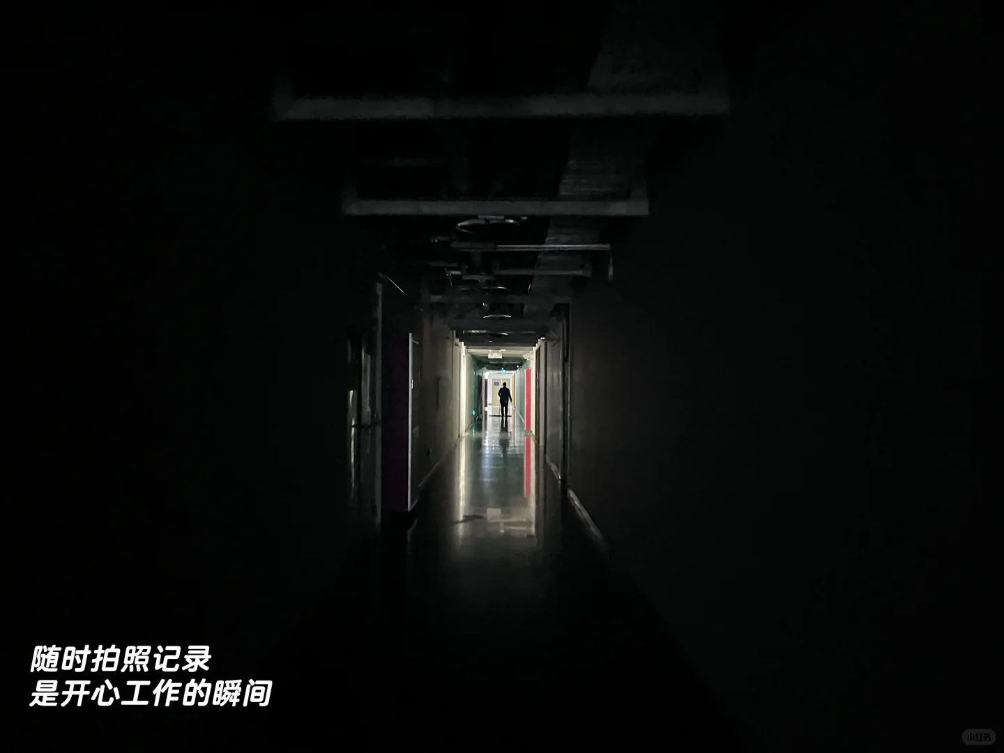 会展人的日常｜不耽误学习的工作是好工作