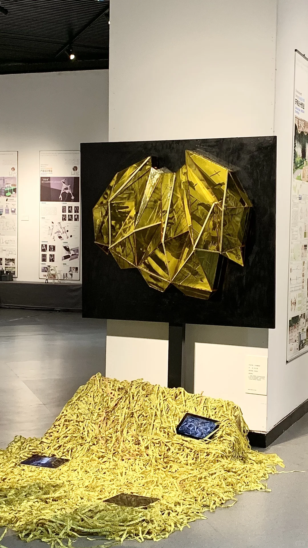 盐城近期坠值得看的新展～