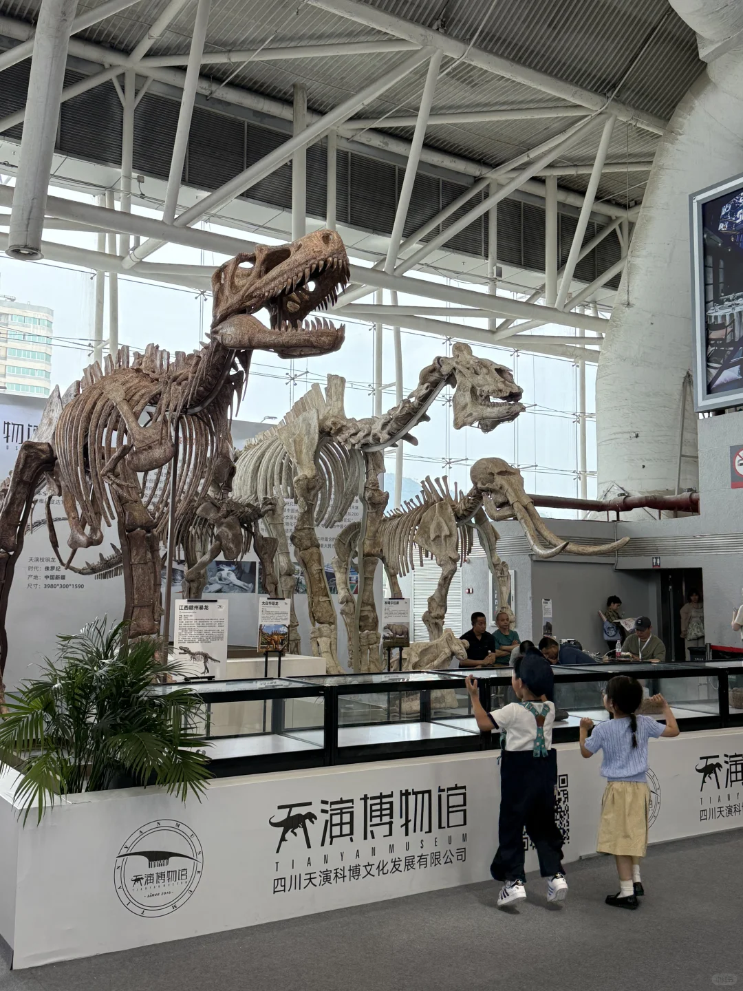 ?紫气东来、听说看完南京矿博会会有好运哦