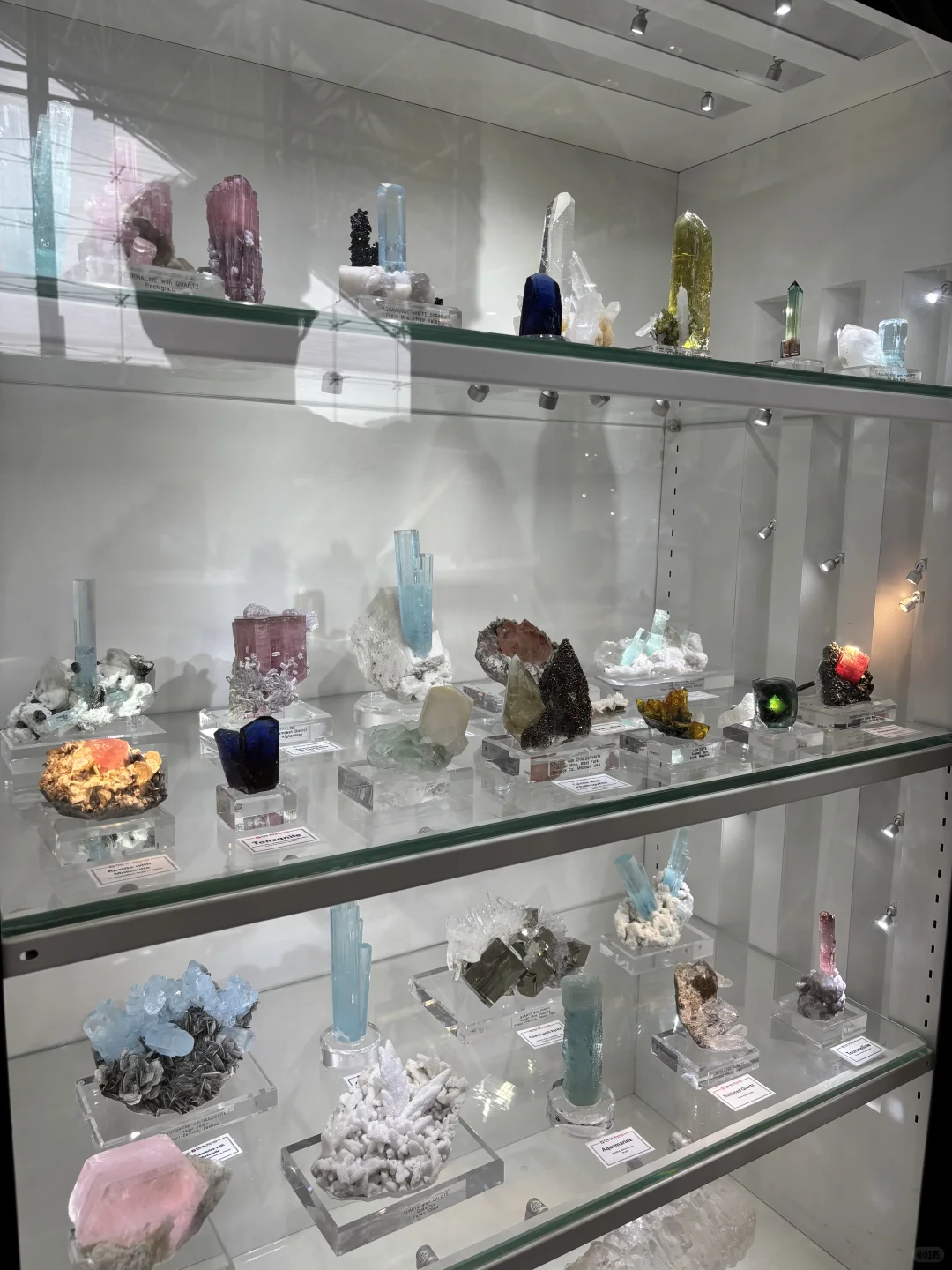 南京矿石博览会～～～