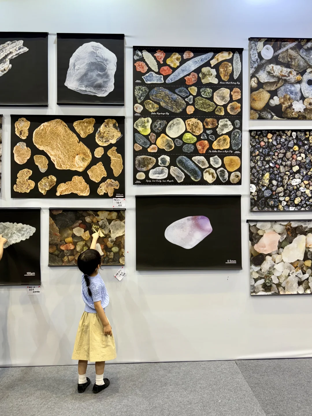 ?紫气东来、听说看完南京矿博会会有好运哦