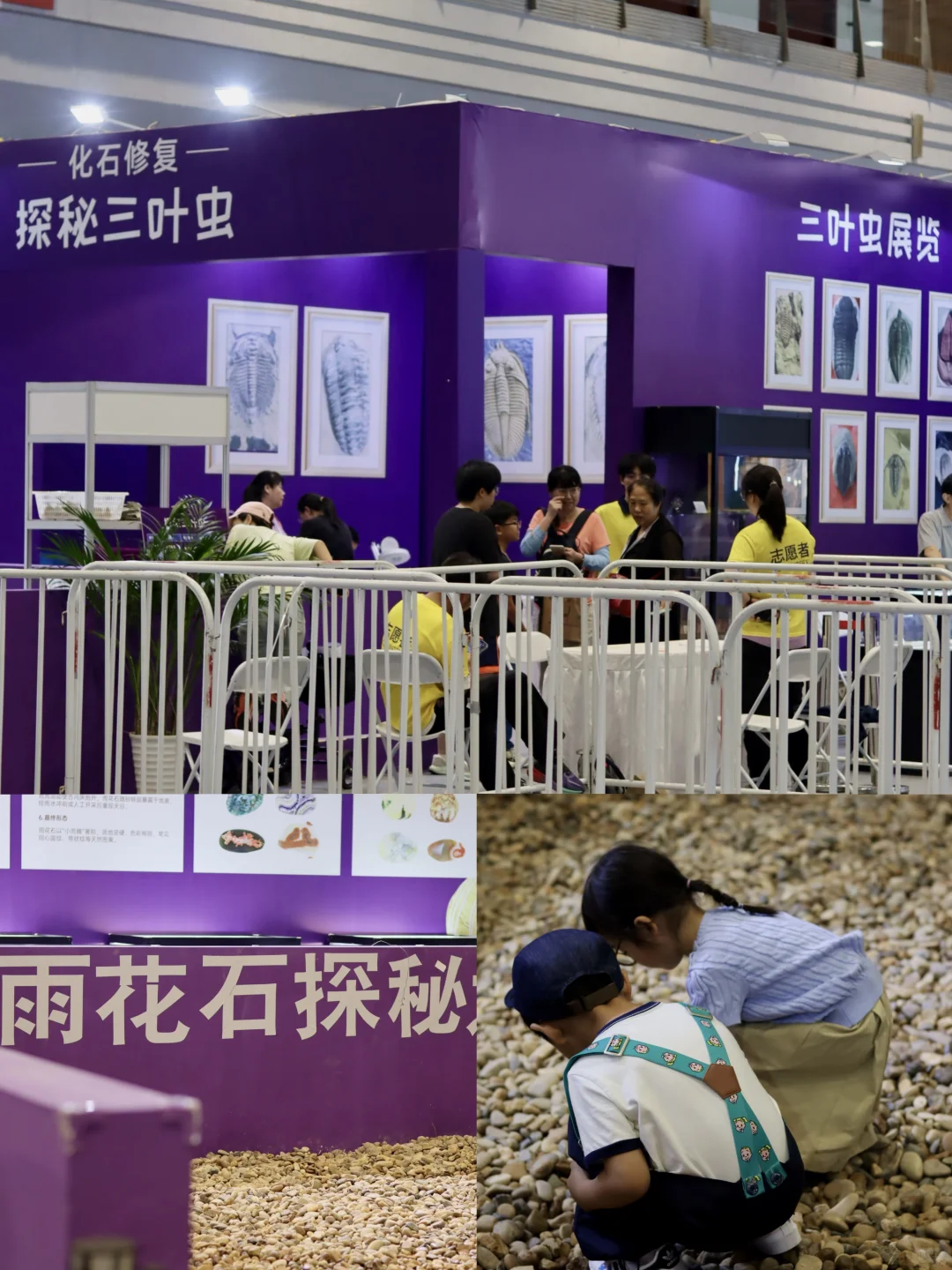 ?紫气东来、听说看完南京矿博会会有好运哦