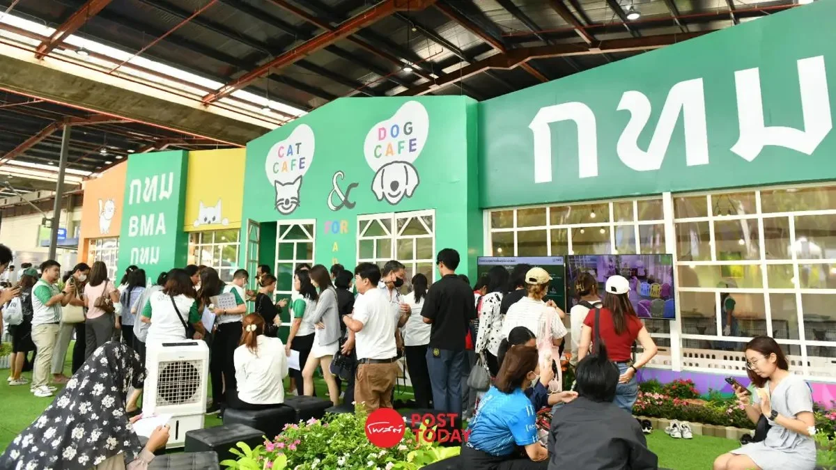 泰国爆料:曼谷2025世界博览会圆满举办