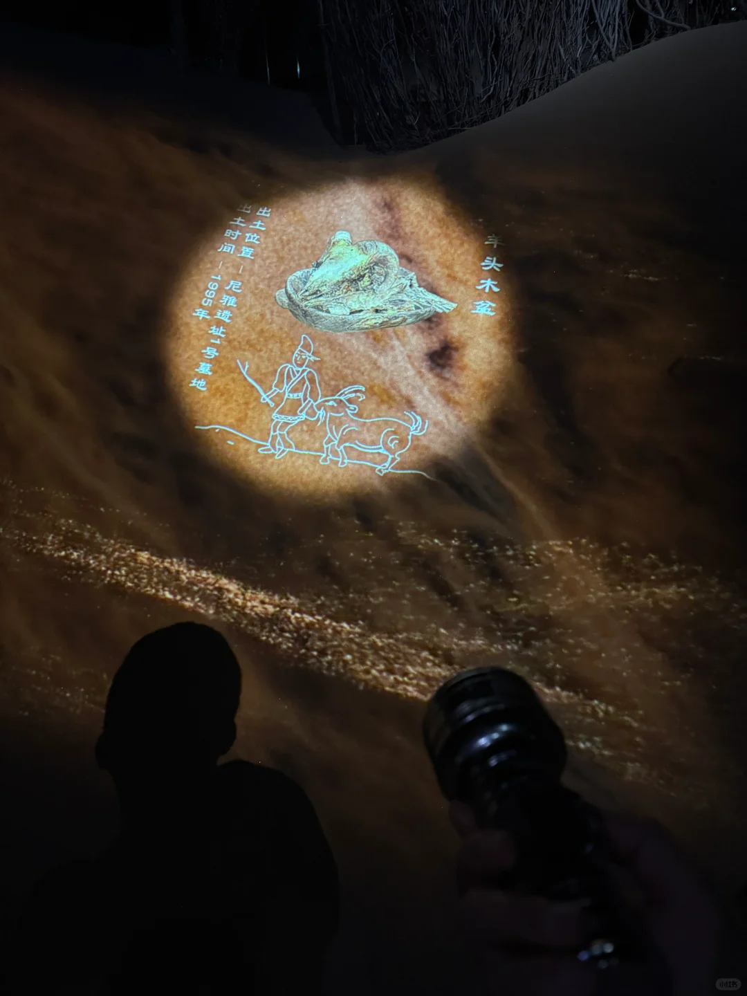 穿越千年的奇幻之旅！精绝七日数字展