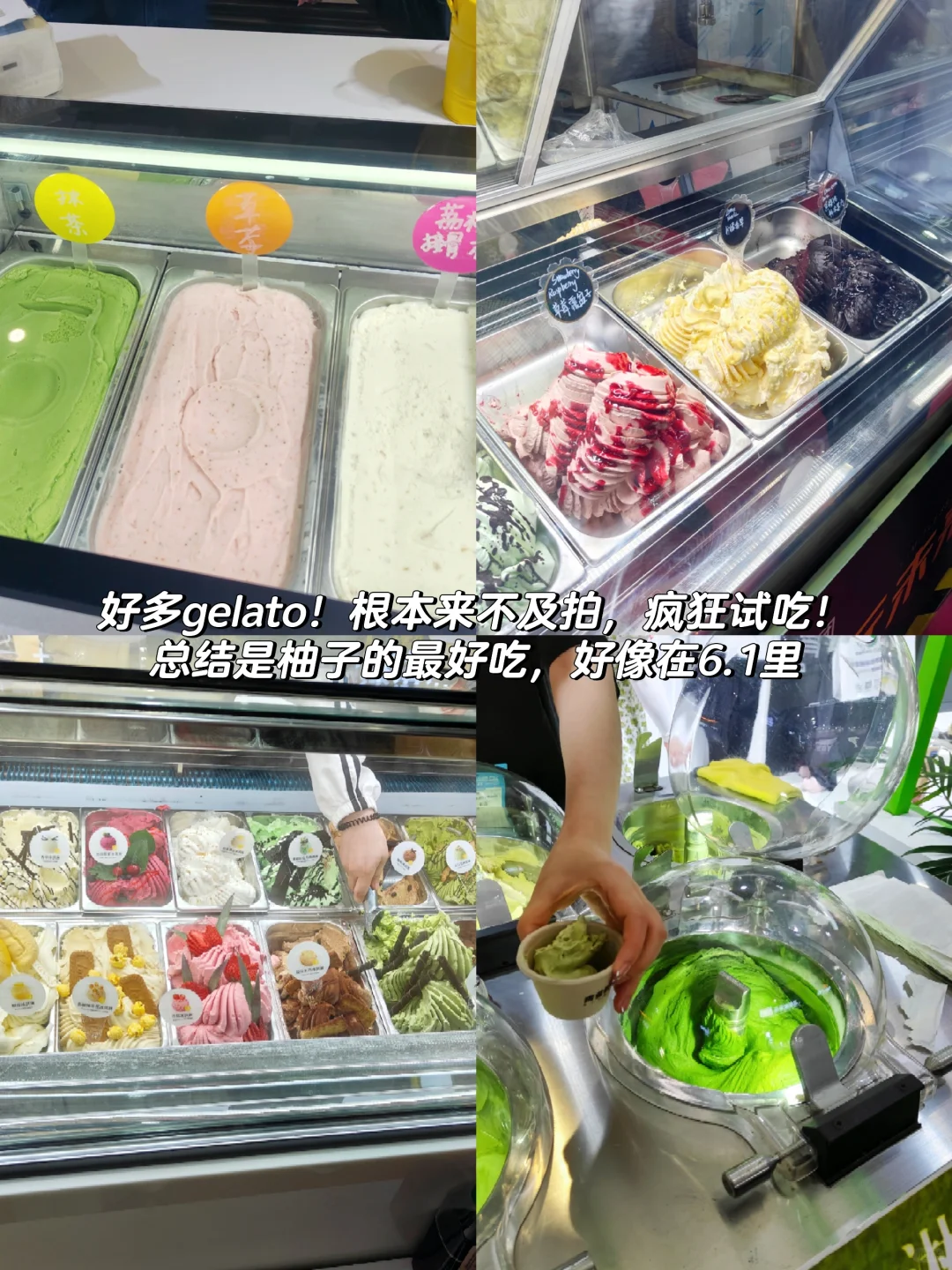 2025上海烘焙展plog｜收获满满的一天！