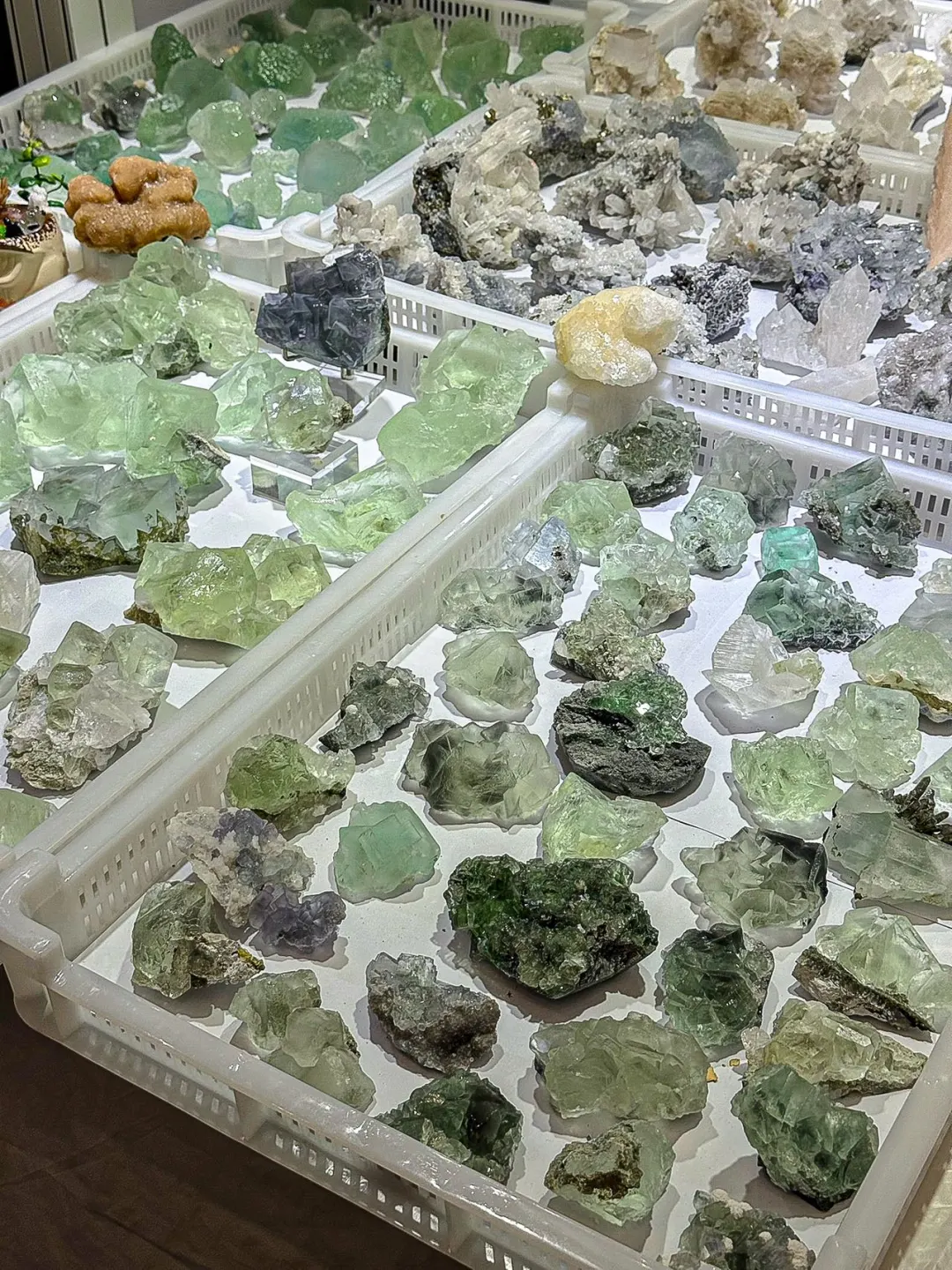 这几天的南京人都在这里了…