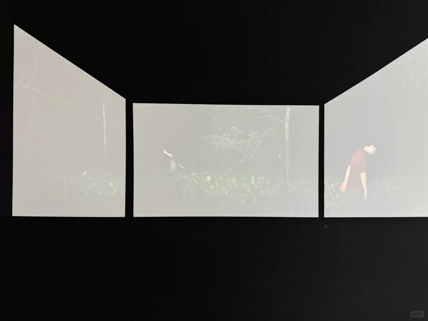 心心念念的看展约上了！拍上瘾了！