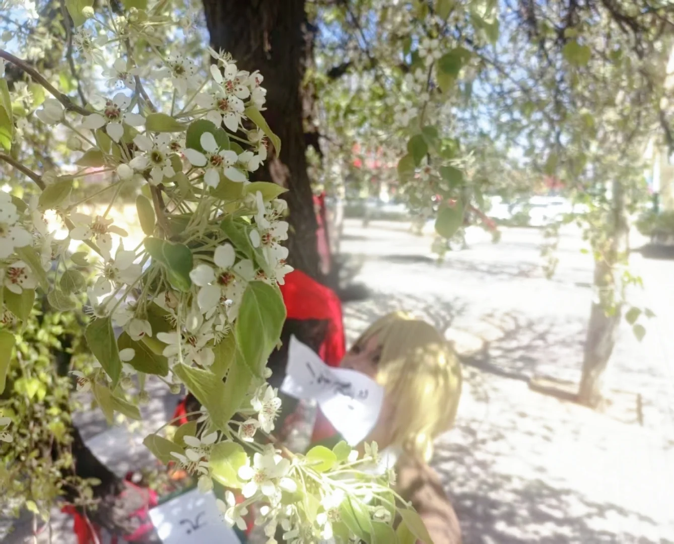 各位老师助力一起玩啊！可互