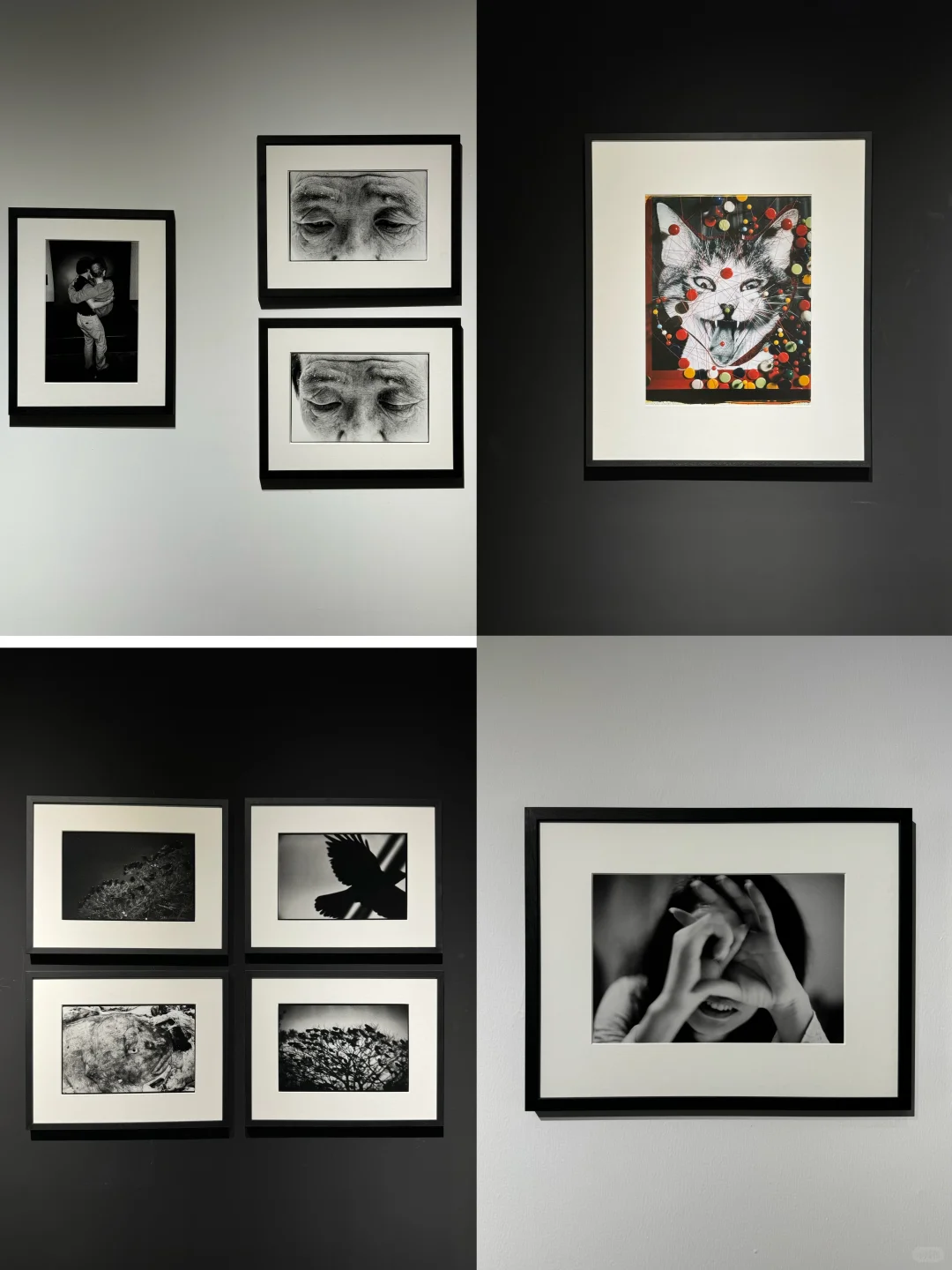 心心念念的看展约上了！拍上瘾了！