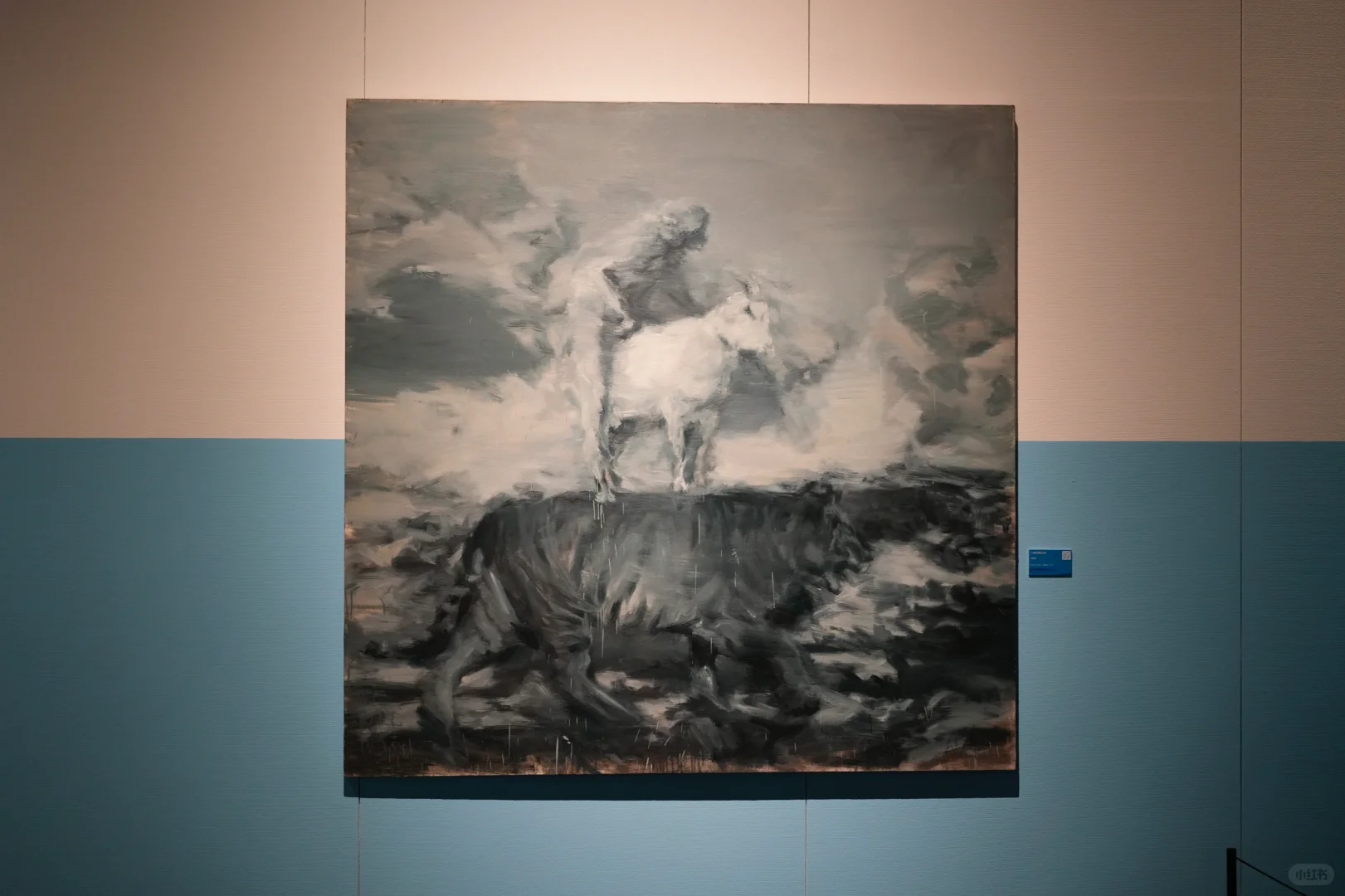 ?深圳看展天花板！4大展会不可错过?‍♀️