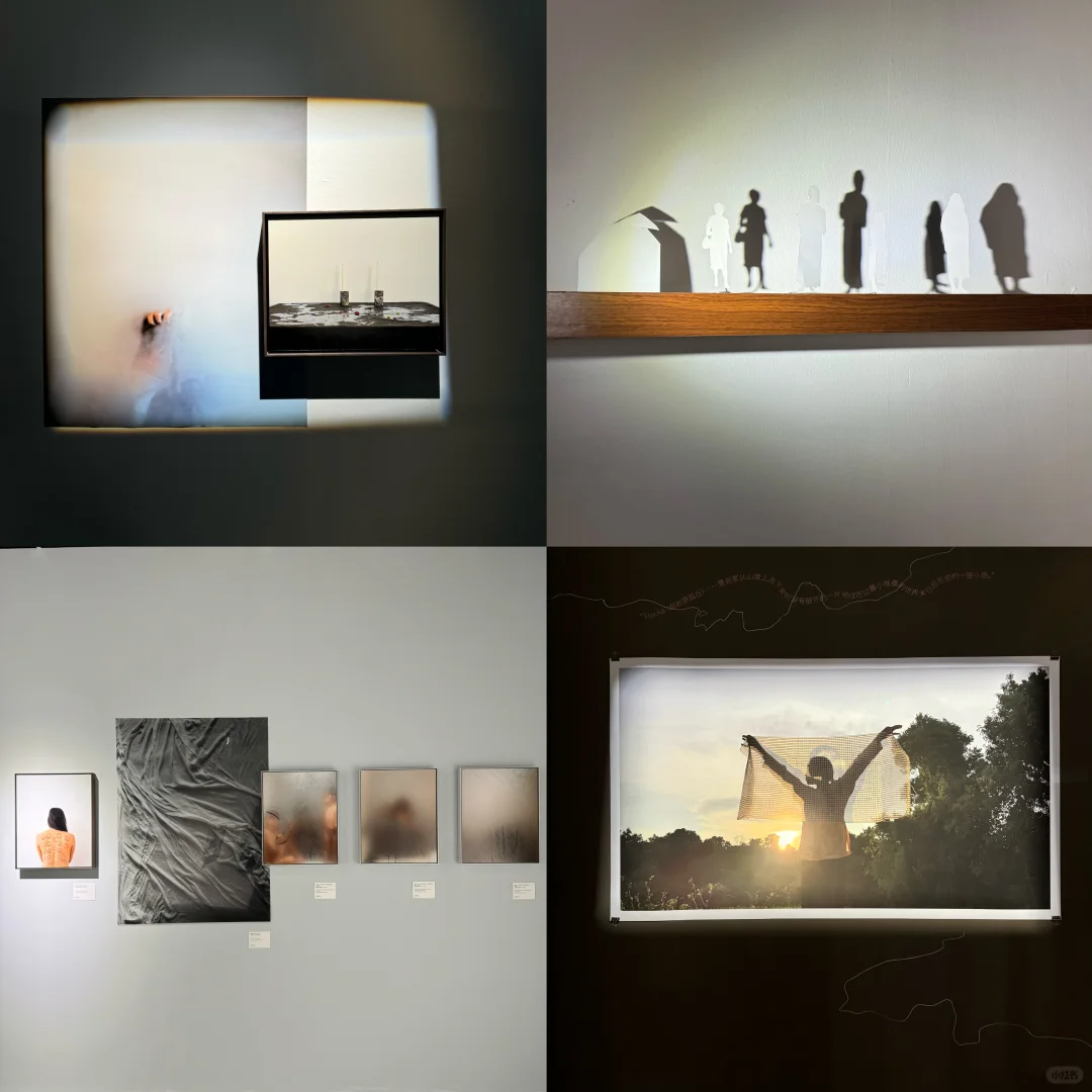 心心念念的看展约上了！拍上瘾了！