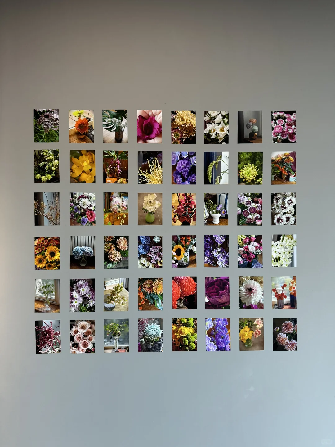 心心念念的看展约上了！拍上瘾了！