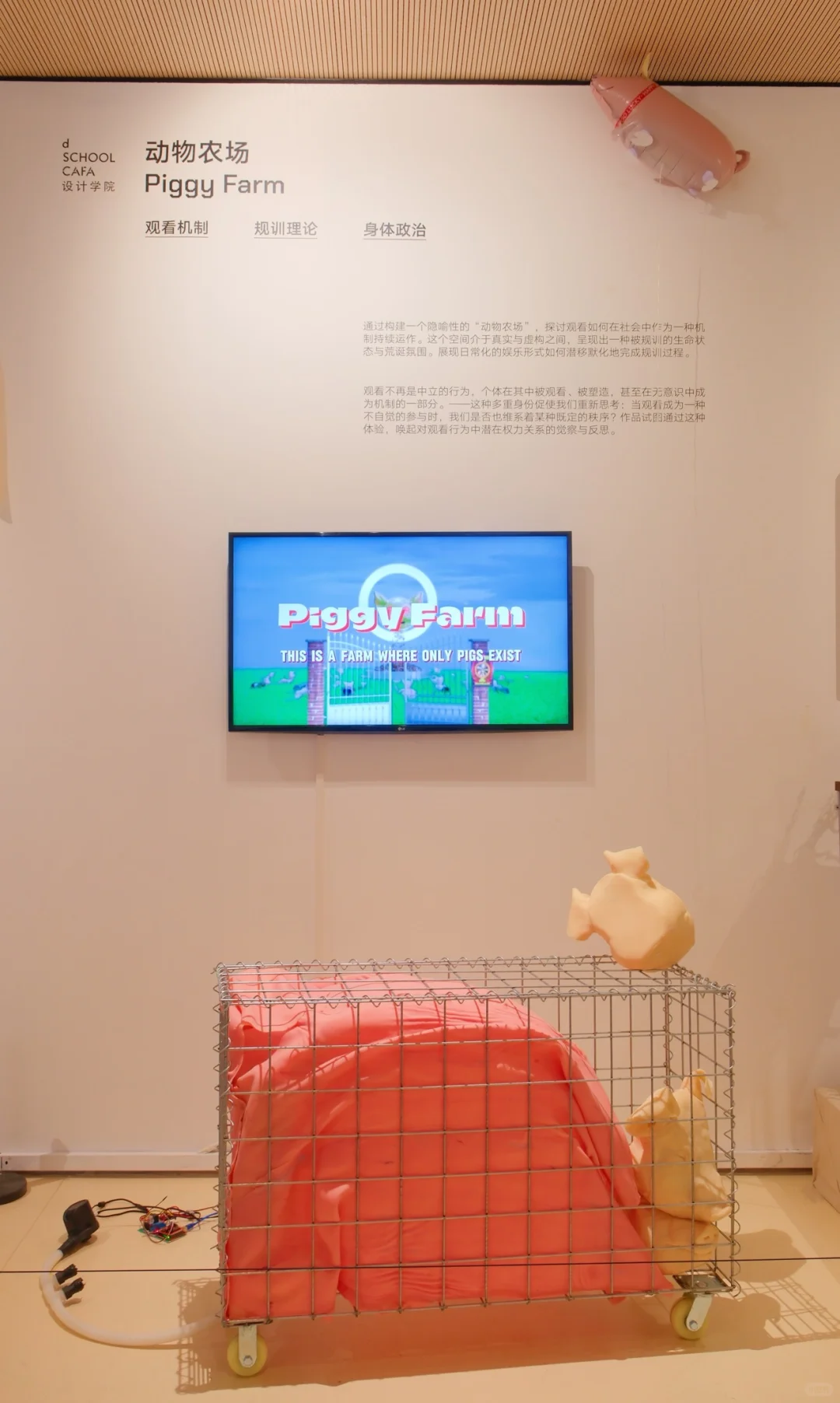 央美毕设猪猪展的作品阐述?