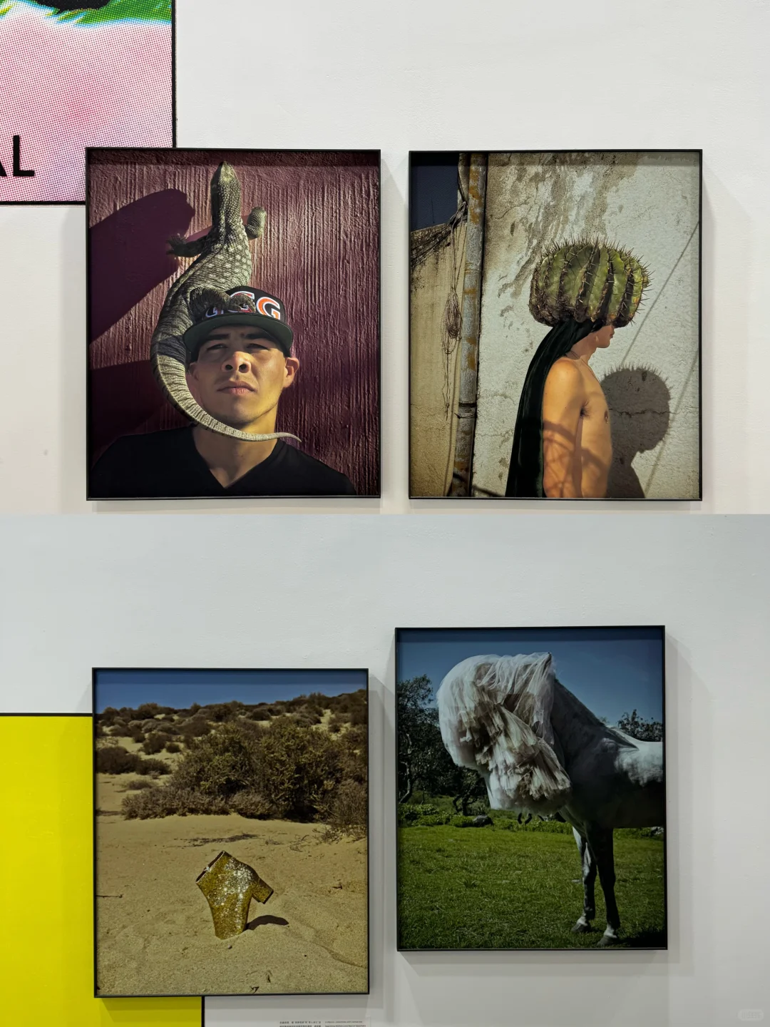 心心念念的看展约上了！拍上瘾了！