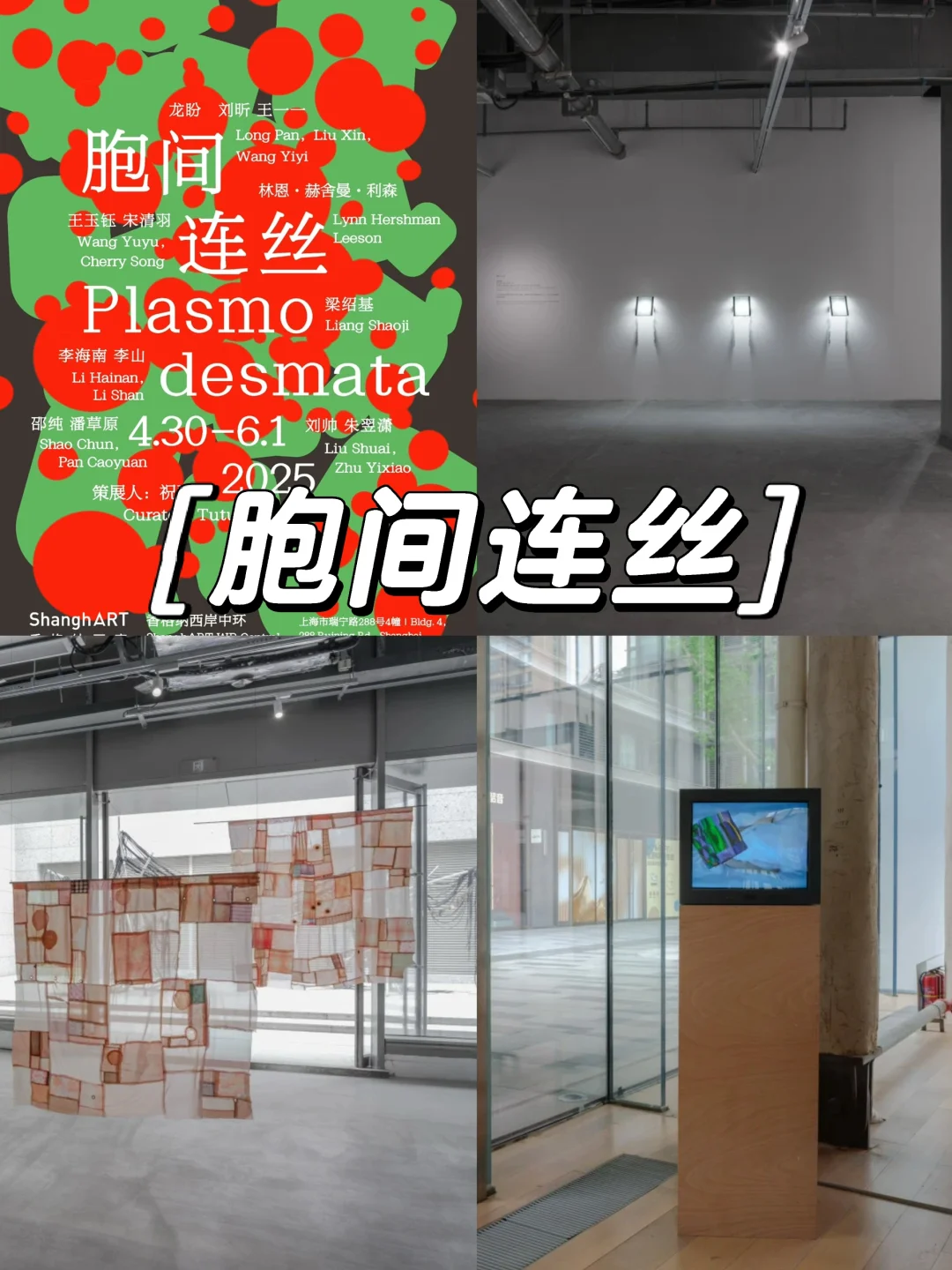 上海5-6月值得看的18+免费?展览合集‼️