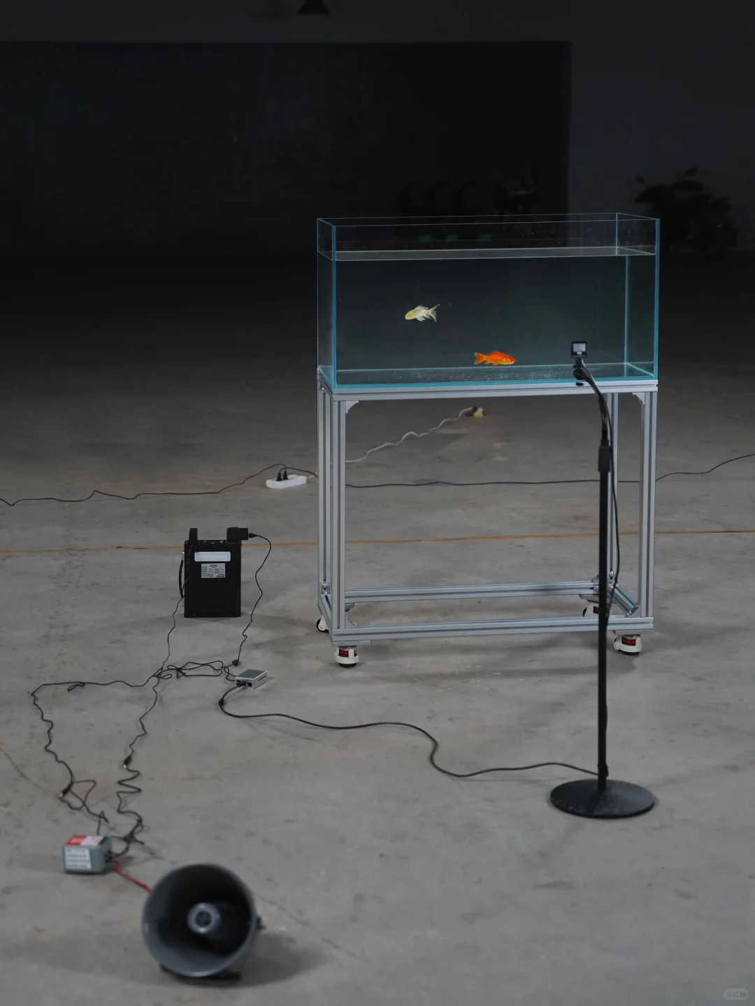 重磅新展！欣赏绝美ai艺术！数字艺术大展！