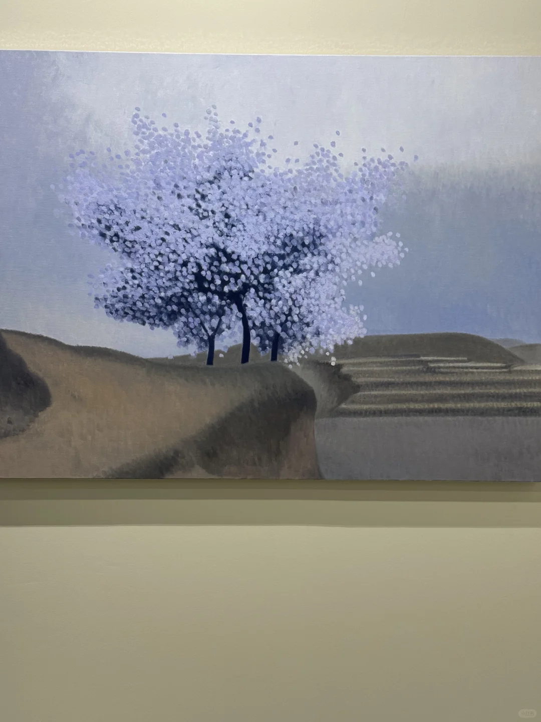 开幕第一天☔️北京年度必看展览