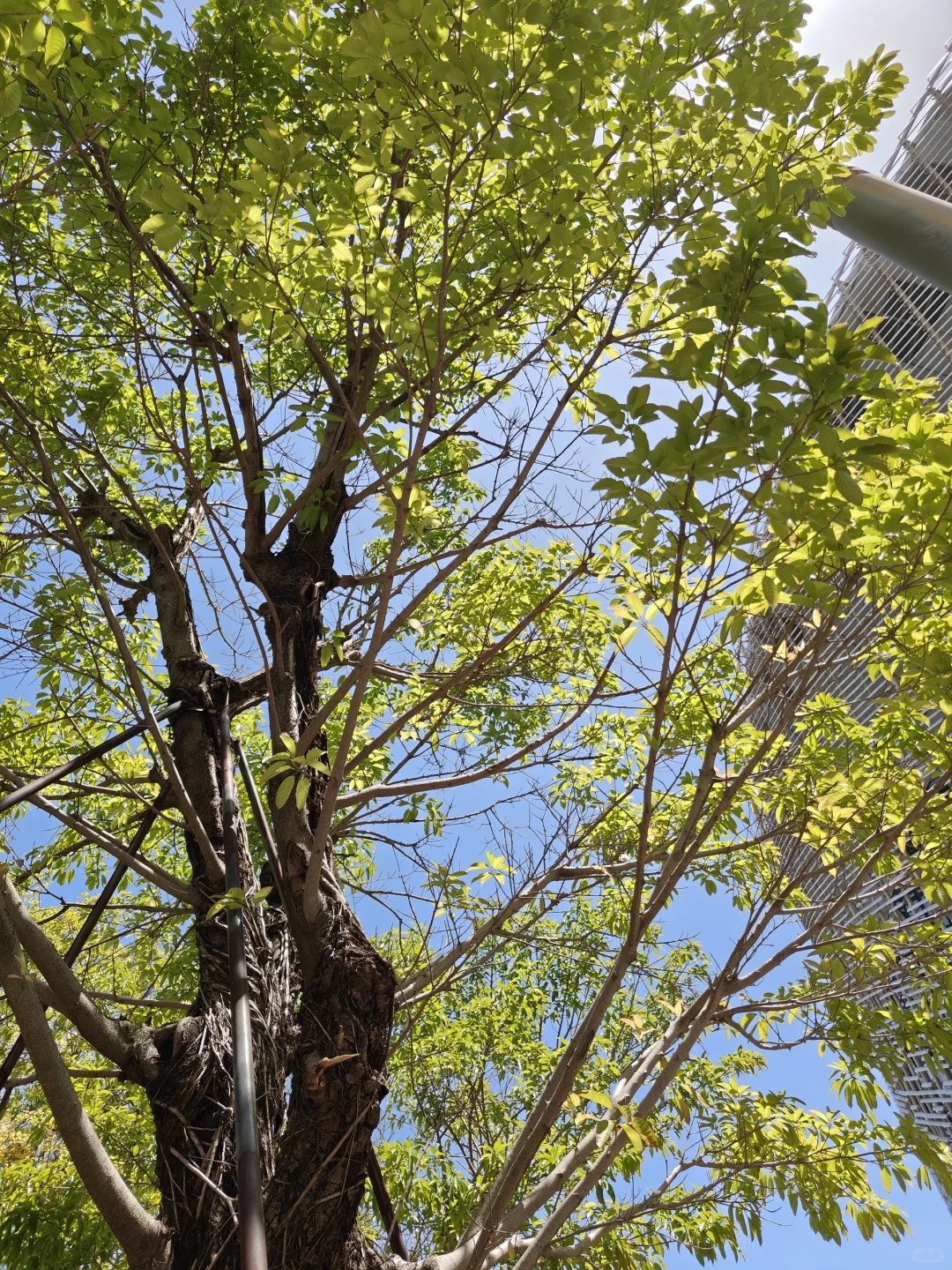 会展策划专业 在剧院实习?那些福利呢?