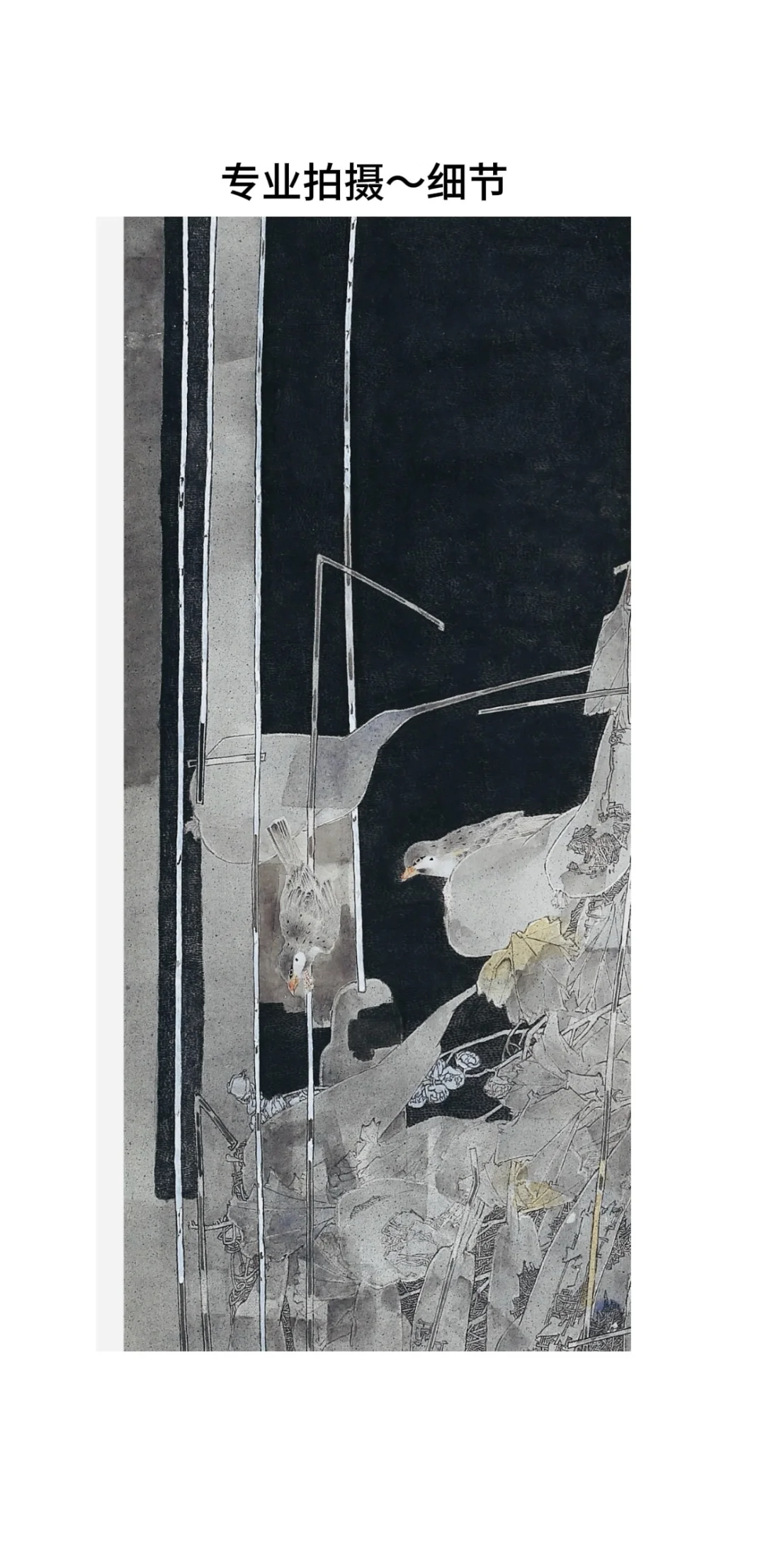 国展投展经验总结