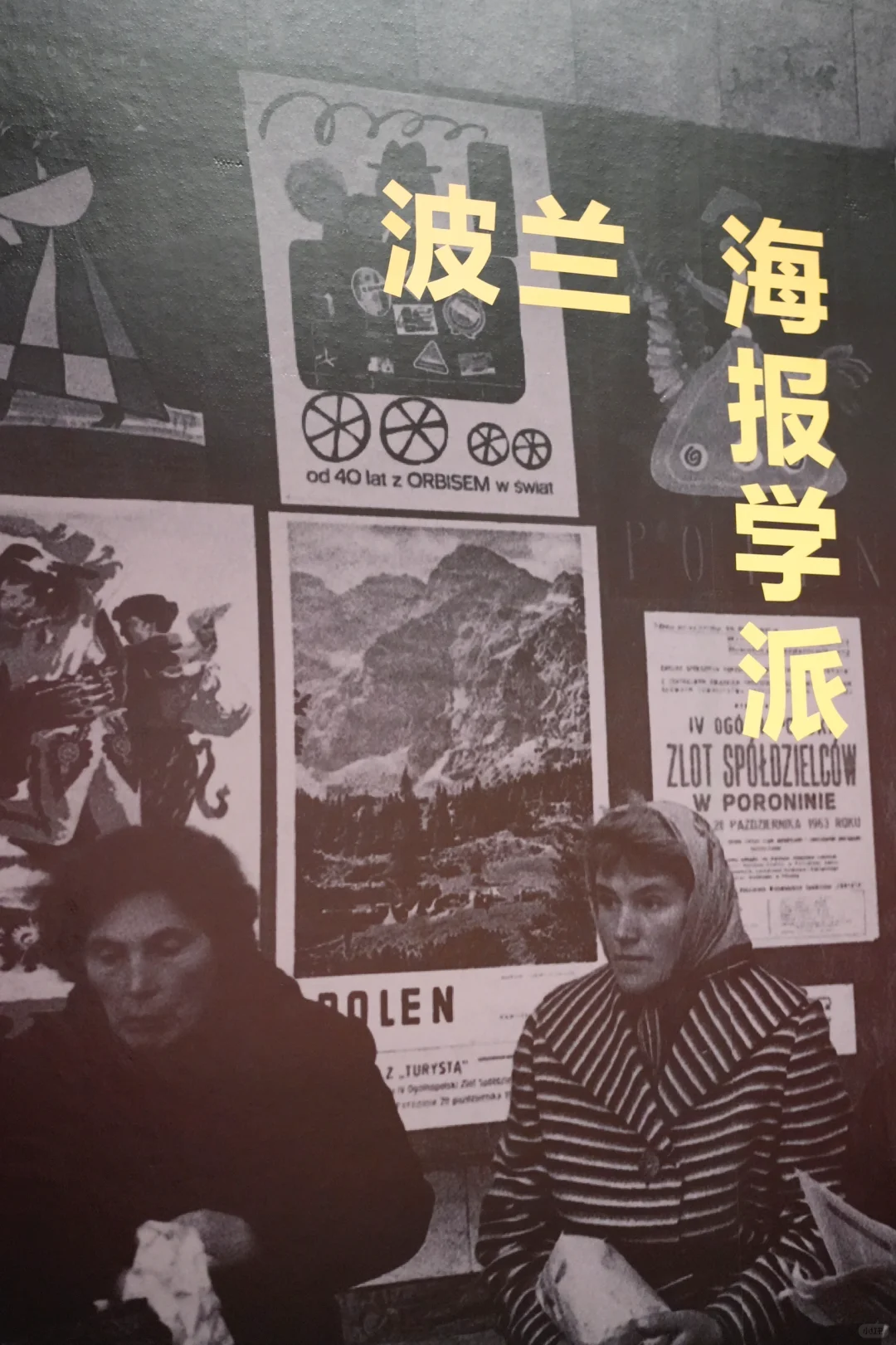 ?深圳看展天花板！4大展会不可错过?‍♀️