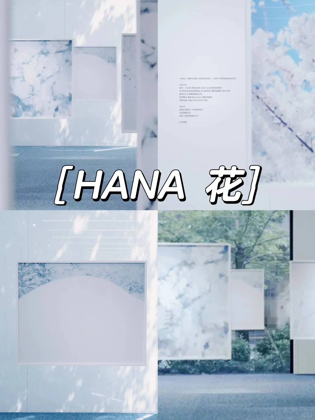 上海5-6月值得看的18+免费?展览合集‼️