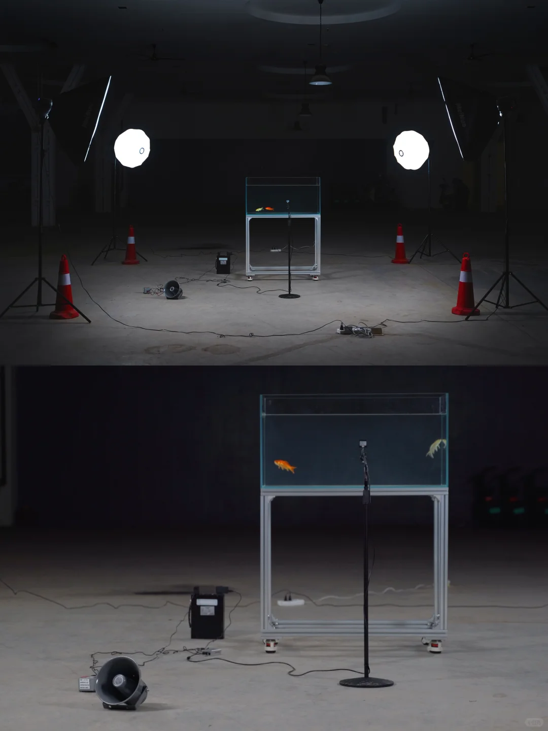 重磅新展！欣赏绝美ai艺术！数字艺术大展！