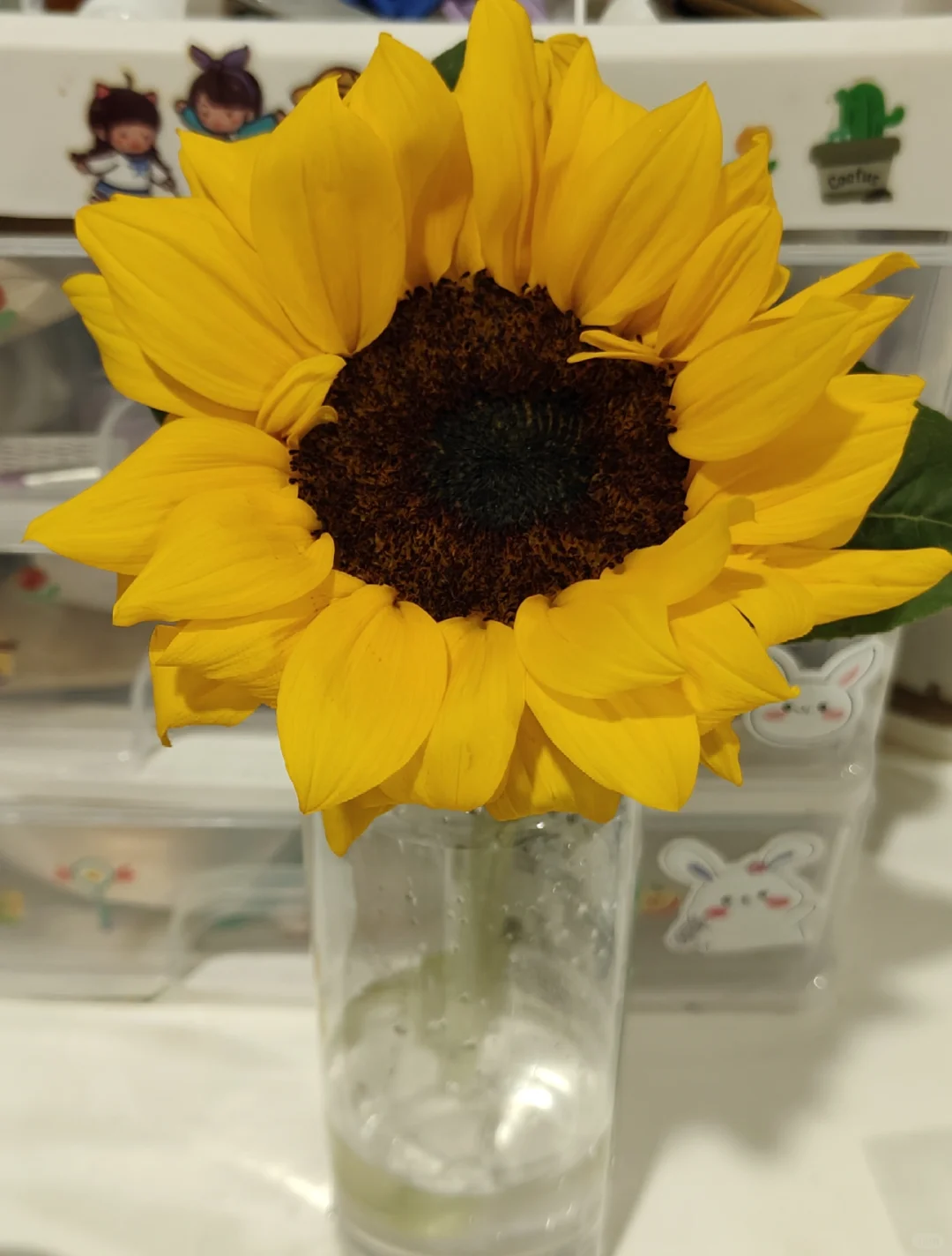 会展策划专业 在剧院实习?那些福利呢?