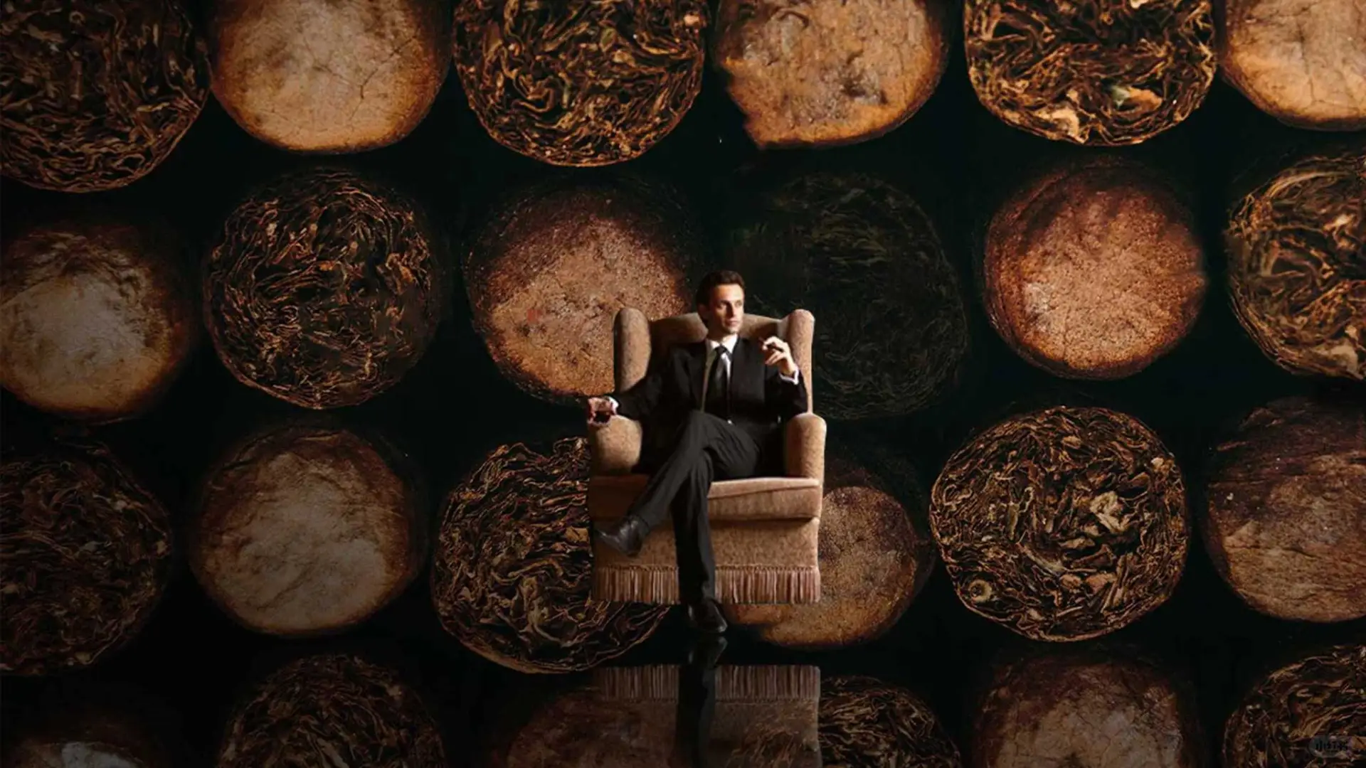 2025中国雪茄（四川）博览会即将启幕?