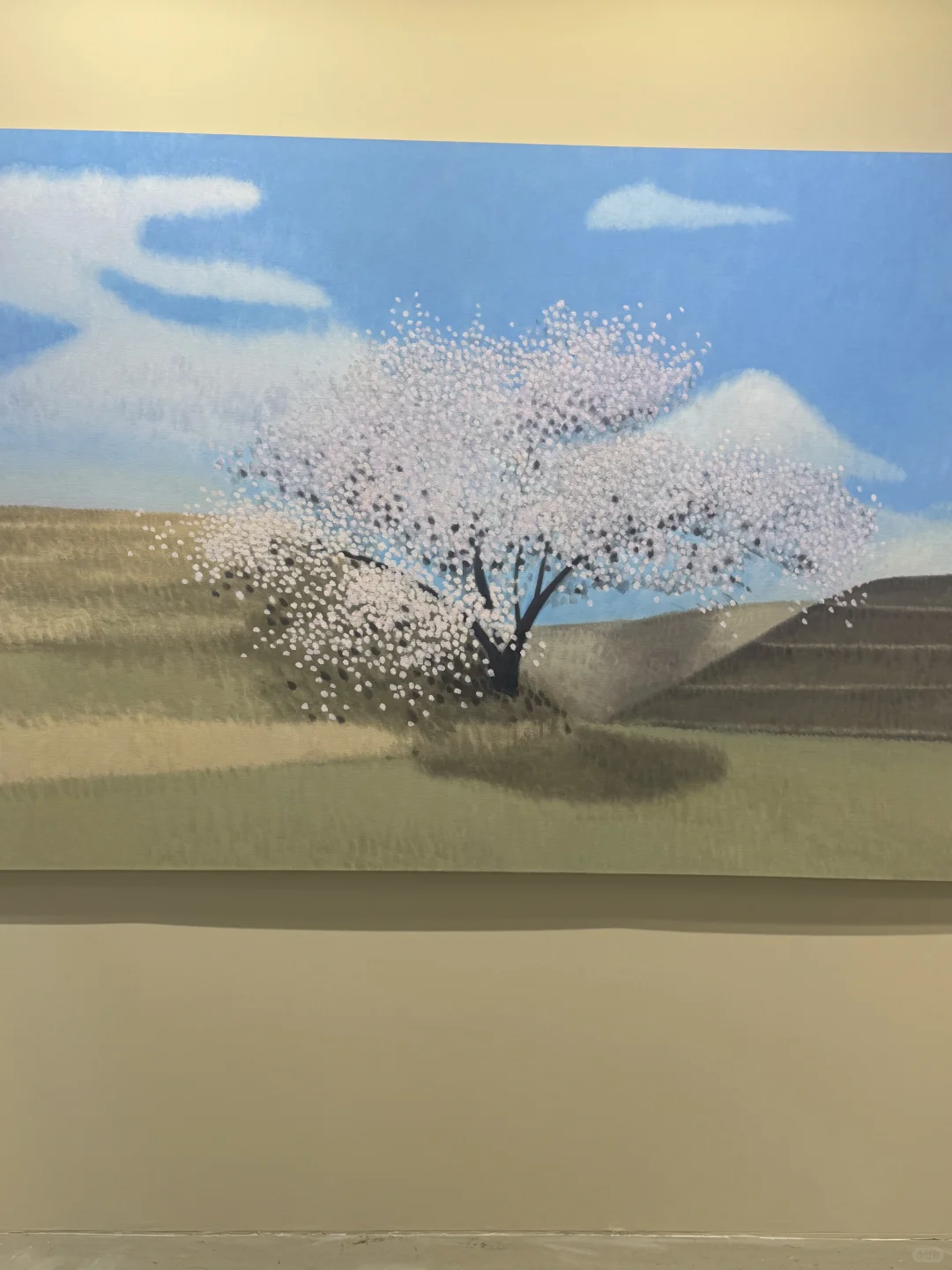 开幕第一天☔️北京年度必看展览