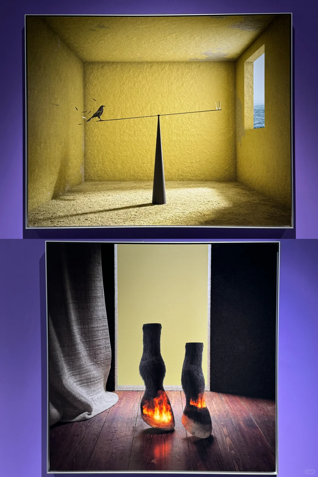 心心念念的看展约上了！拍上瘾了！