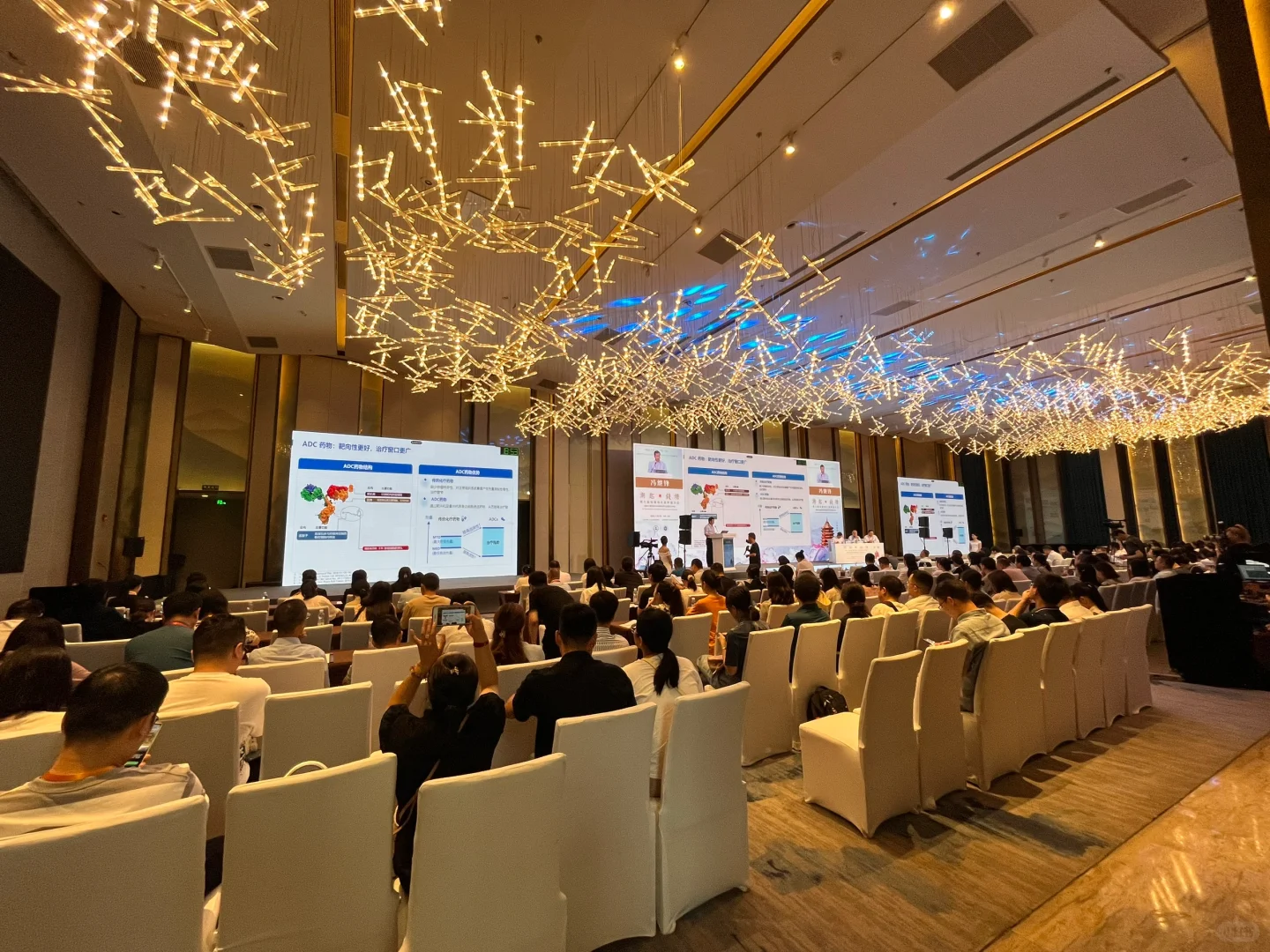 会议执行，第三方合作多个学会