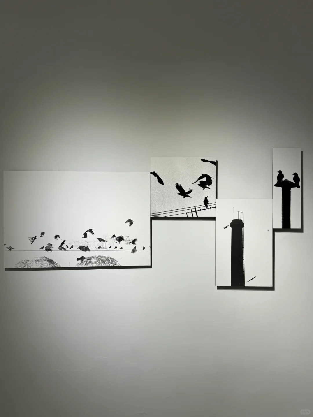 心心念念的看展约上了！拍上瘾了！