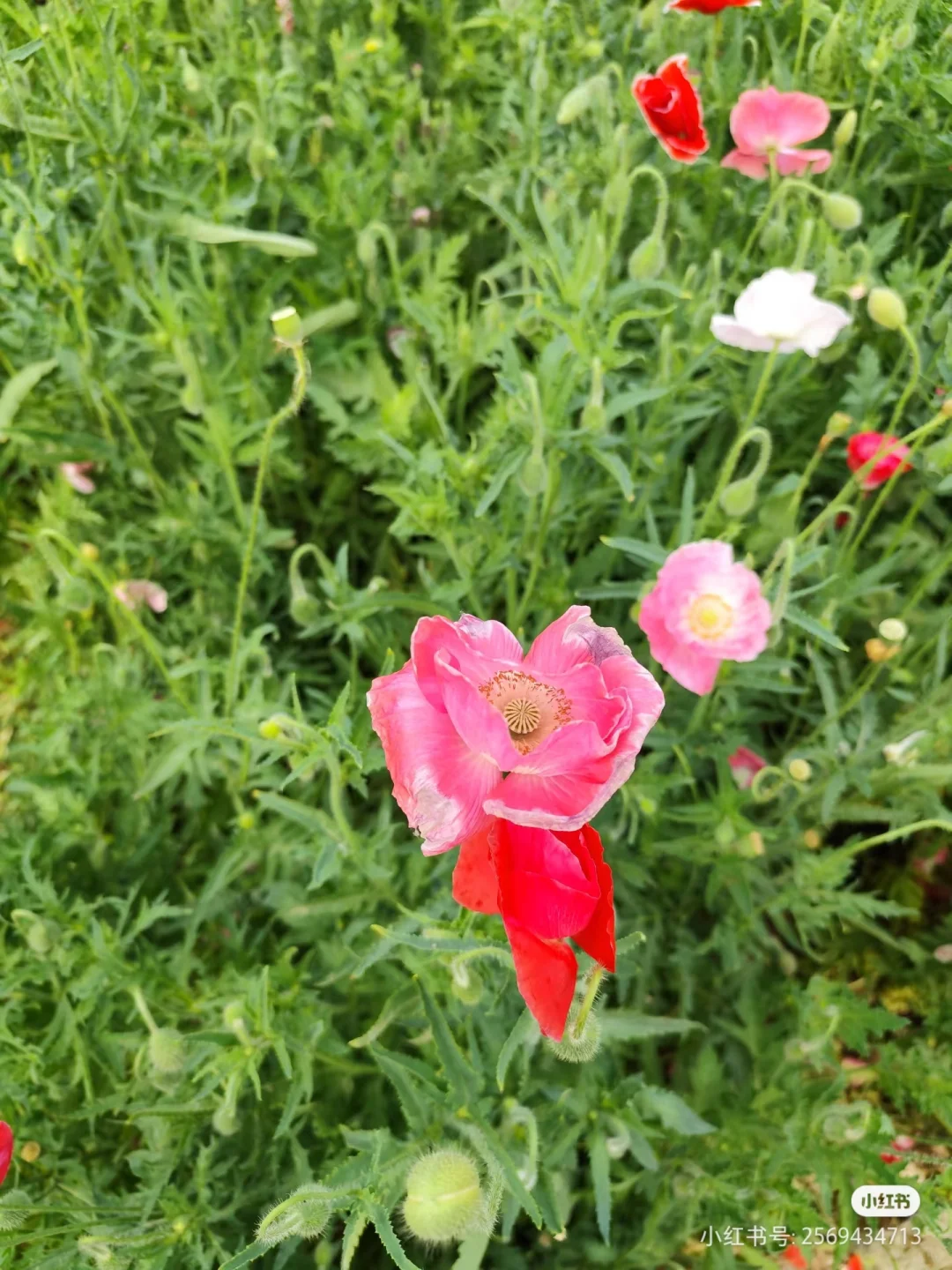 山东事业编面试.自学第22天