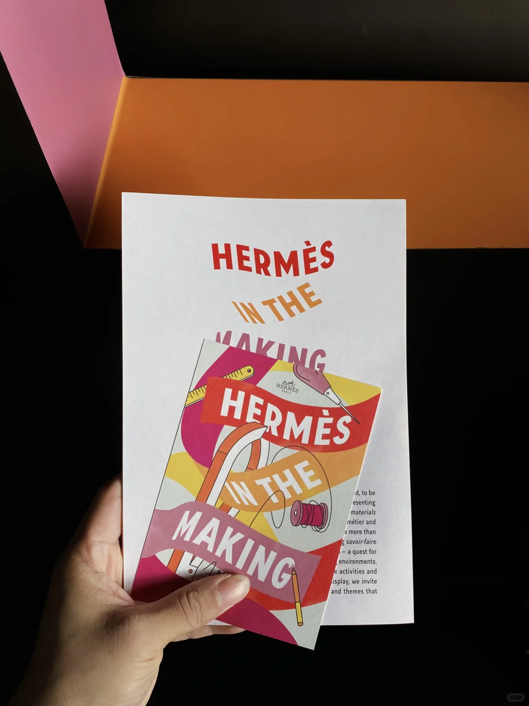 深圳海边限时展览?真的令人大开眼界啊‼️